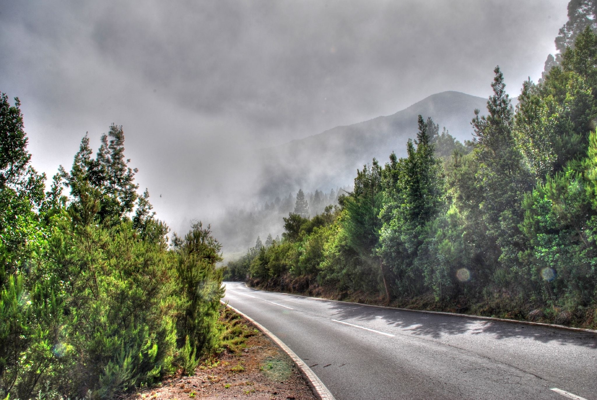 Camino, photography, highway, road, asphalt, nature, concrete road, day, 1080P, nube, tenerife, la, cloud, teide, tree, photos, travel, mountain, landscape, HD Wallpaper