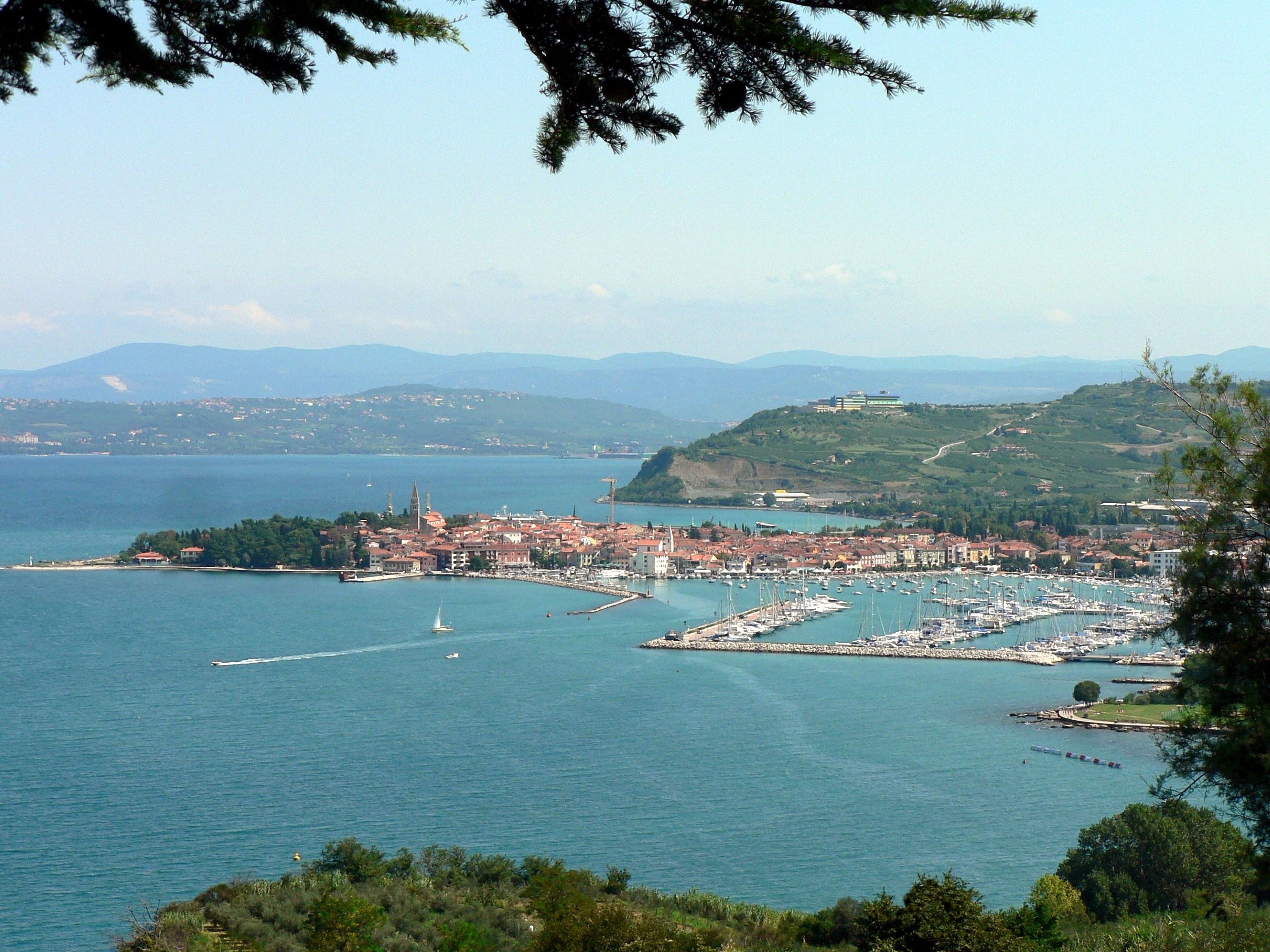plant, port, bay, 2K, day, beauty in nature, outdoors, izola, slovenia, land, tree, isola, high angle view, scenics - nature, mode of transportation, sea, HD Wallpaper