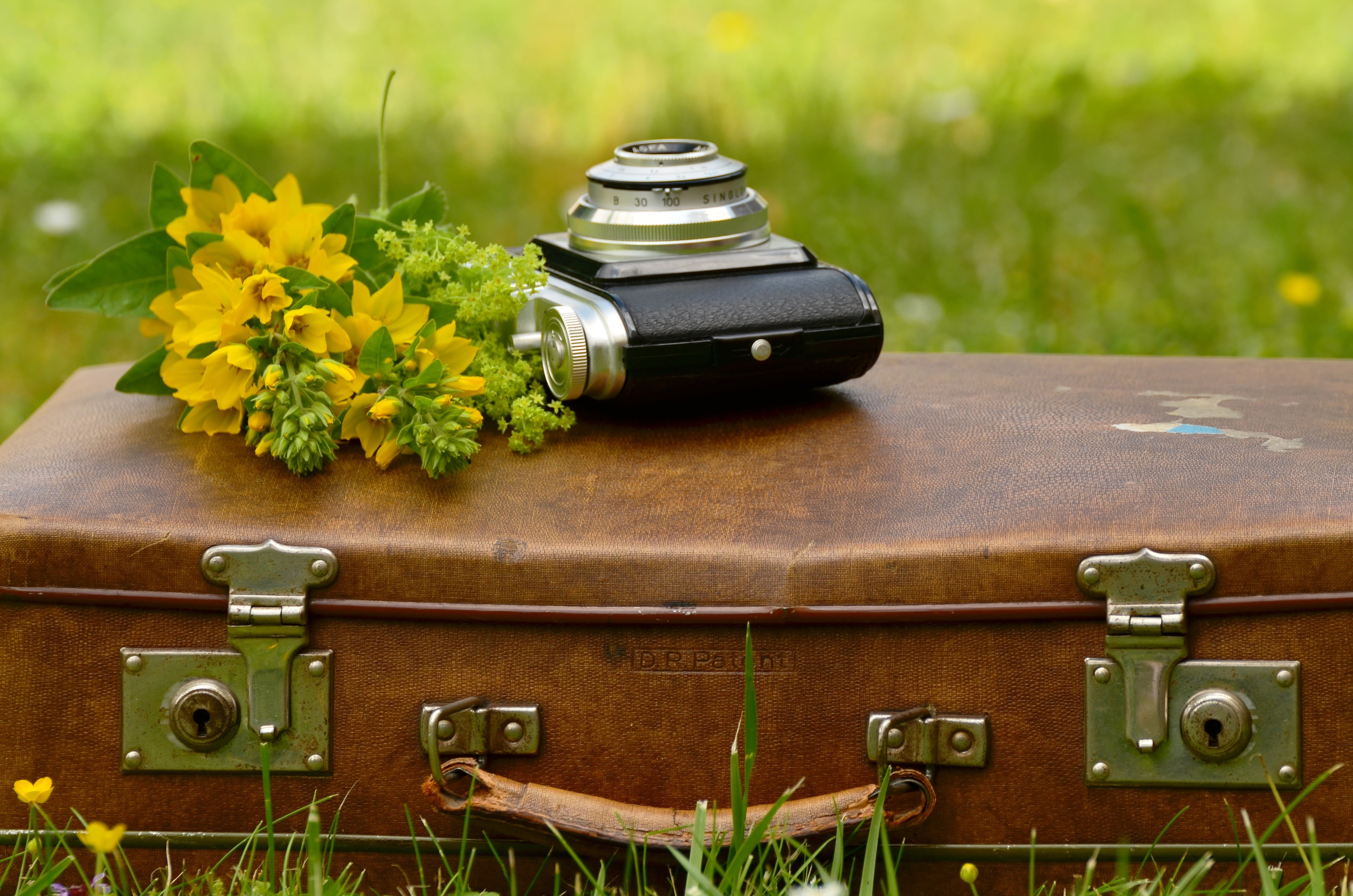 bouquet, brown, leather suitcase, summer, no people, flowering plant, agfa isola, plant, old, camera, nature, travel, black, nostalgic, analog, grass, yellow flowers, HD Wallpaper