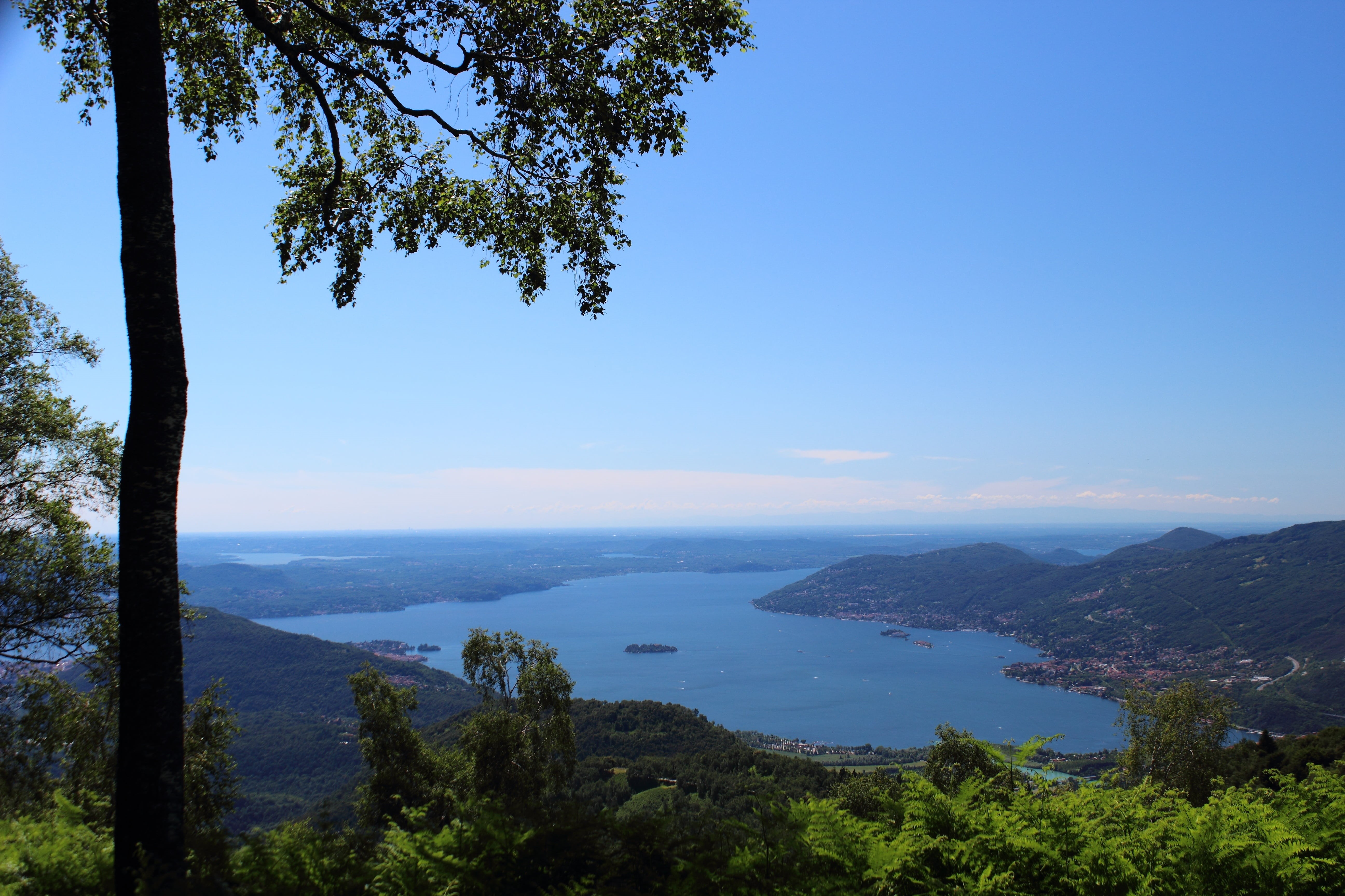 italy, non-urban scene, isola superiore, natural, lago maggiore, 5K, scenics - nature, tree, day, plant, baveno, tranquility, landscape, nature, tranquil scene, HD Wallpaper