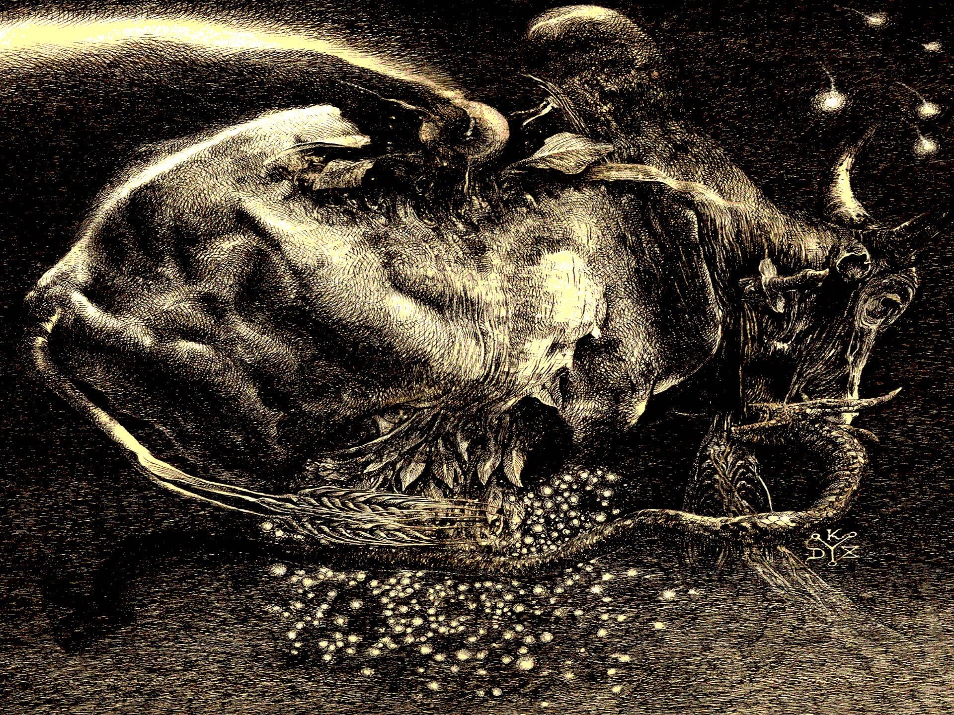 metal, blut, black, dark, occult, aus, symphonic, 1080P, experimental, industrial, nord, HD Wallpaper