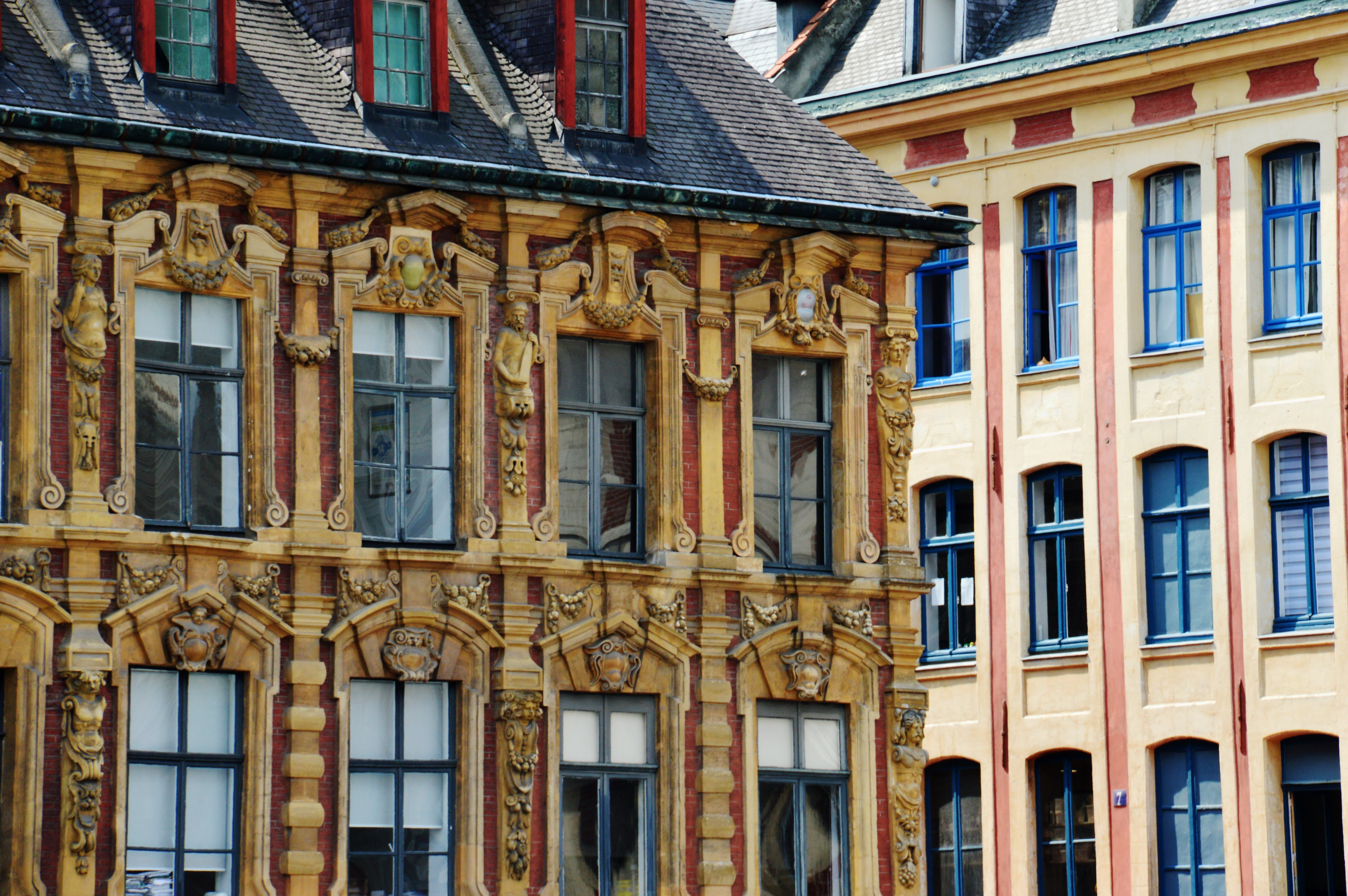 5K, north, outdoors, architecture, house, no people, nature, building, residential district, place, lille, facade, town, built structure, sunlight, france, HD Wallpaper