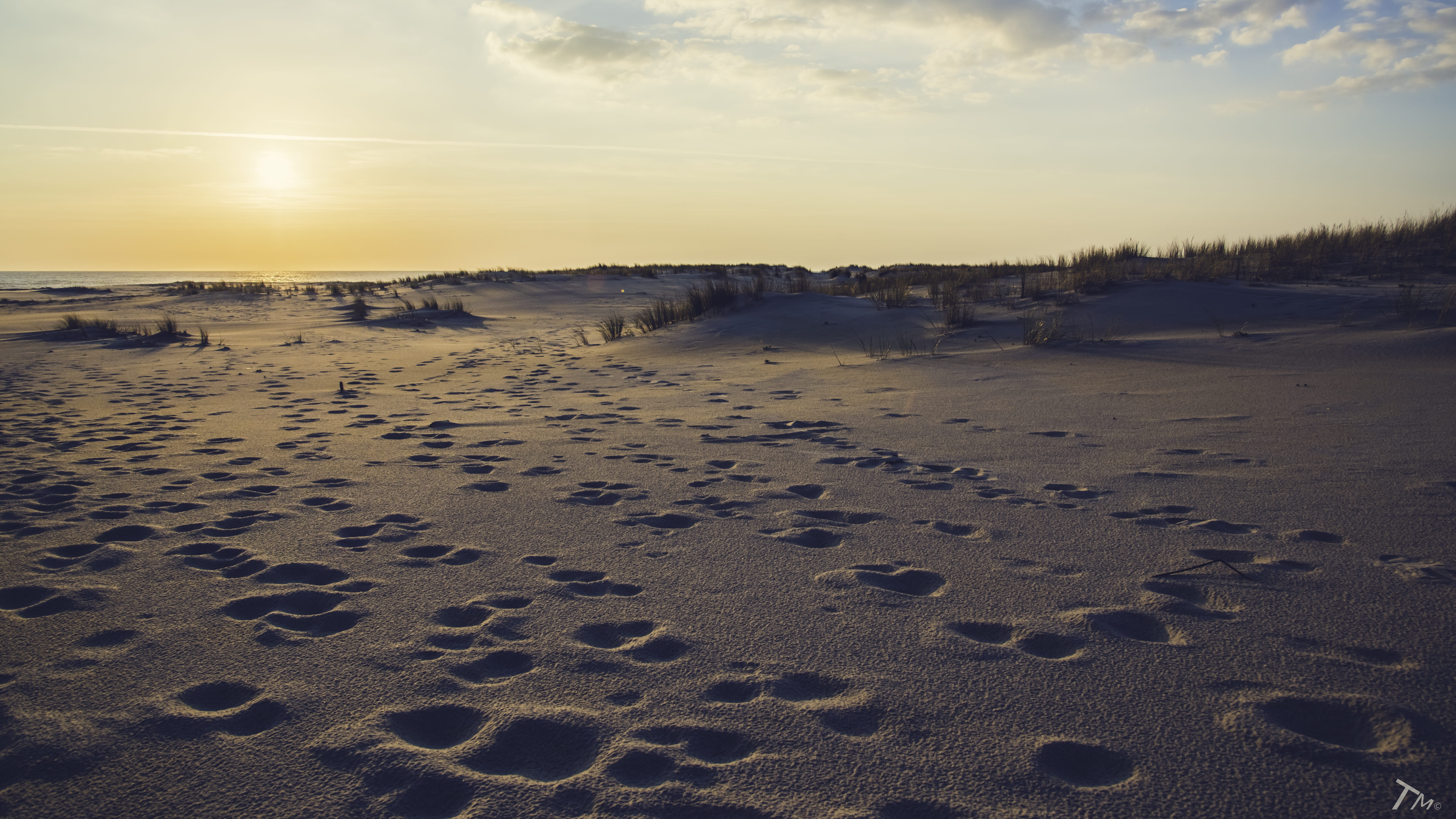 outdoors, no people, sunlight, sea, water, 5K, plage de la salie-nord, sun, non-urban scene, tranquil scene, sky, land, sand, grass, tranquility, nature, HD Wallpaper