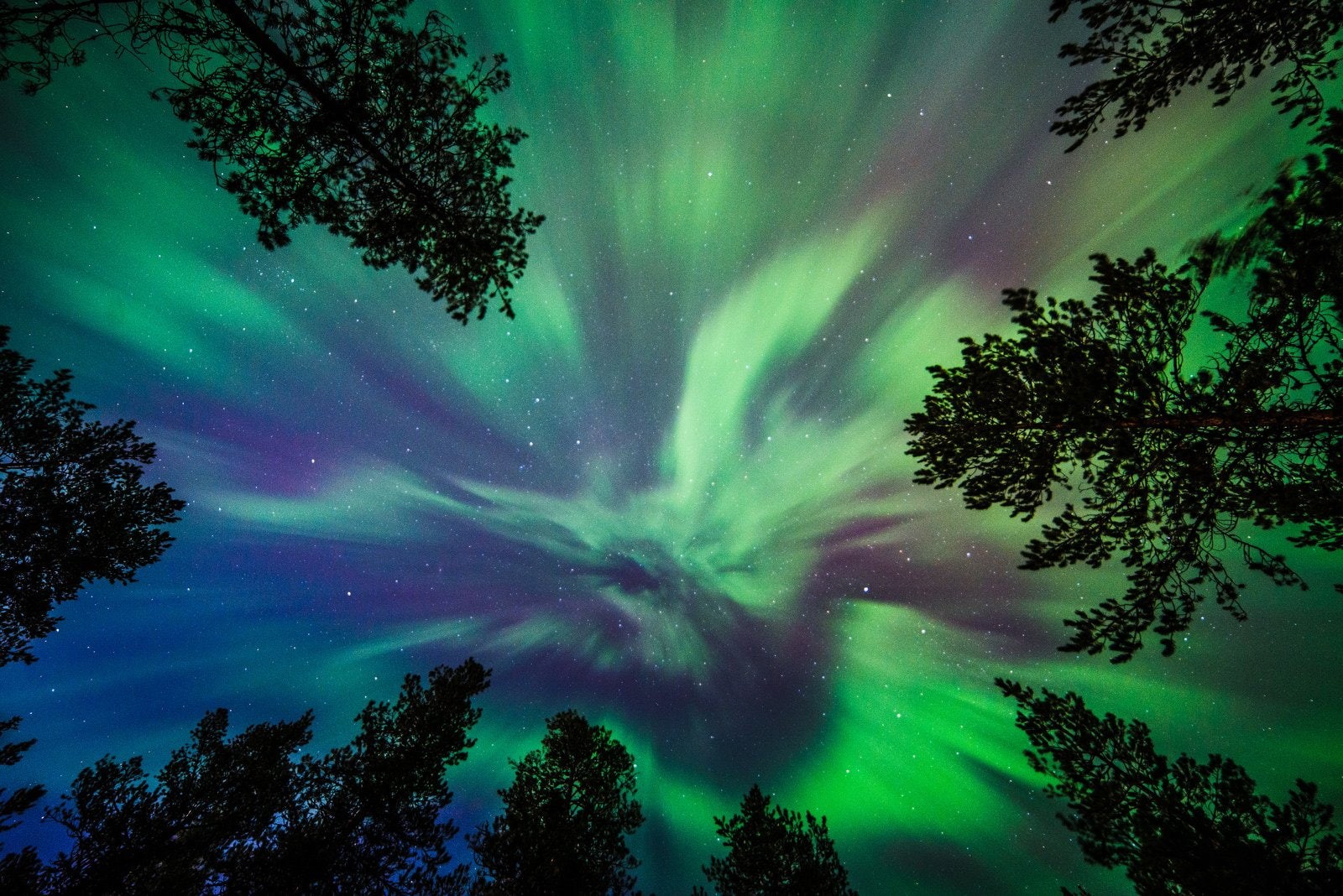 borealis, alaska, sky, nature, artic, northern, lights, outdoors, aurora, 720P, landscape, boreale, HD Wallpaper