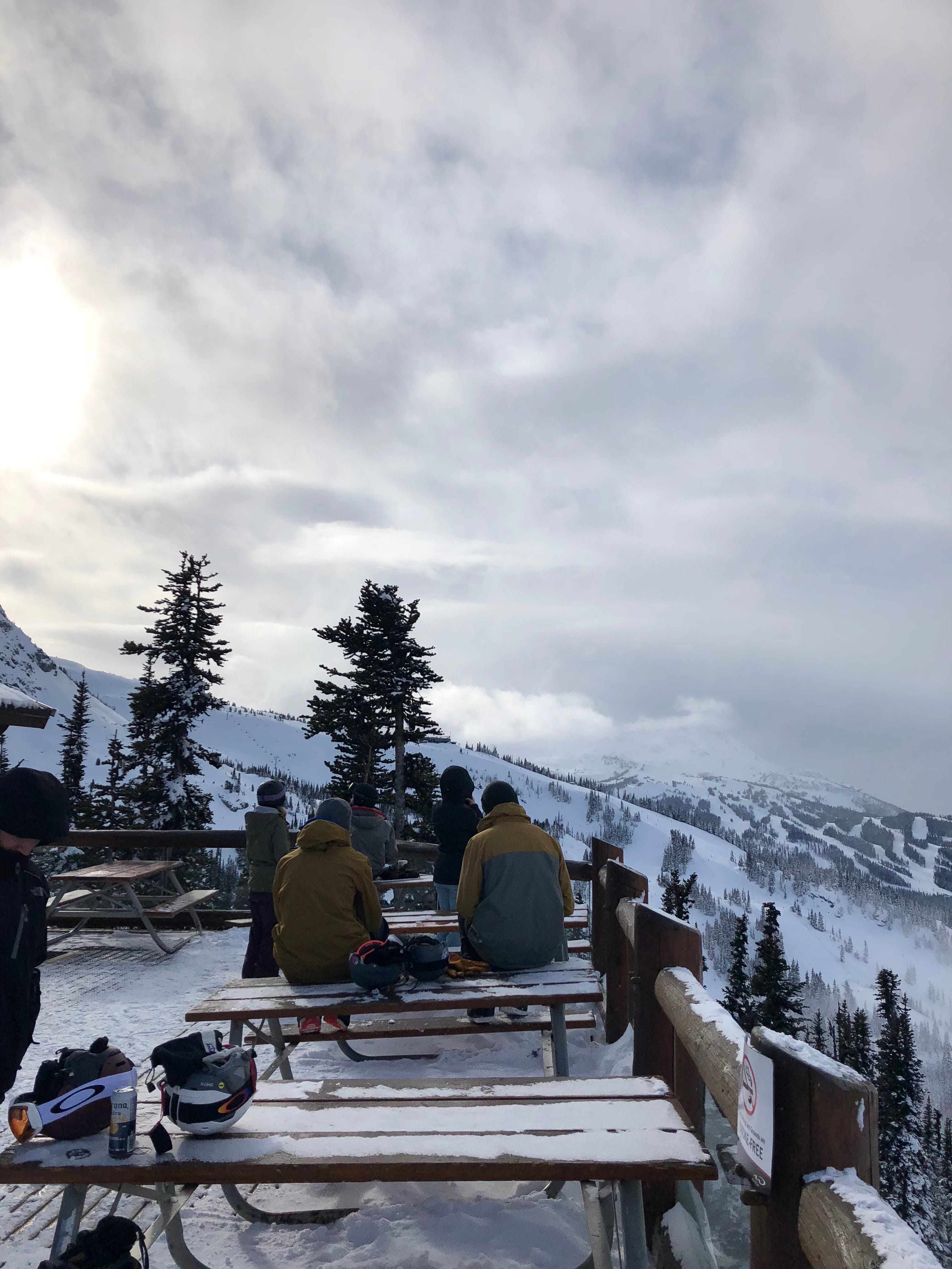 sky, plant, cold, nature, warm clothing, tree, group of people, skiing, sunny, snowboarding, blackcomb, mountains, cold temperature, snow, forest, people, Phone HD Wallpaper