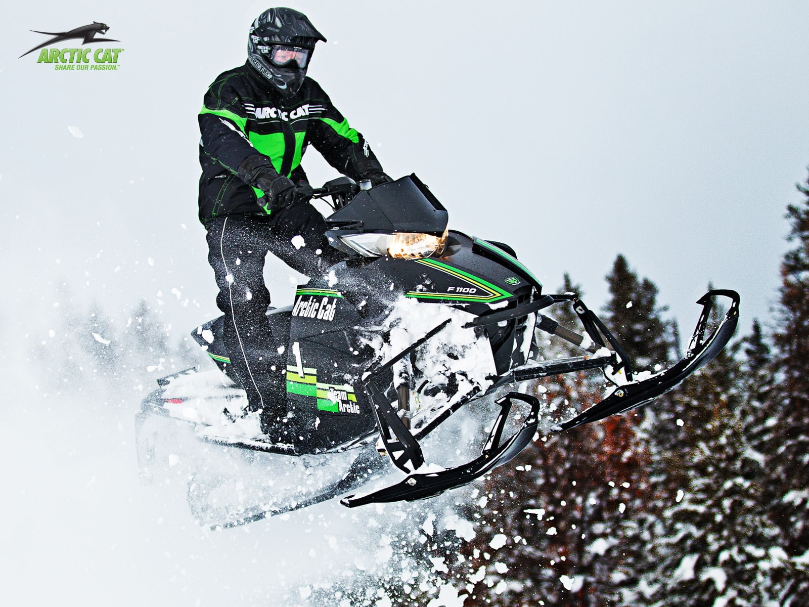 artic cat, pro, snowmobile, turbo, winter, 720P, cat, sno, xf1100, artic, HD Wallpaper