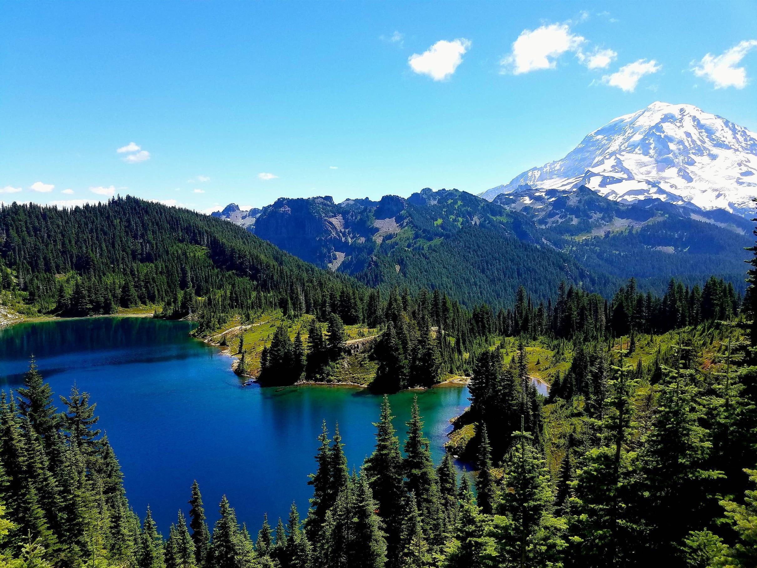 tranquility, cloud - sky, Mt Rainier, sky, idyllic, mountain range, water, plant, scenics - nature, day, remote, no people, mountains, mountain, 1080P, HD Wallpaper