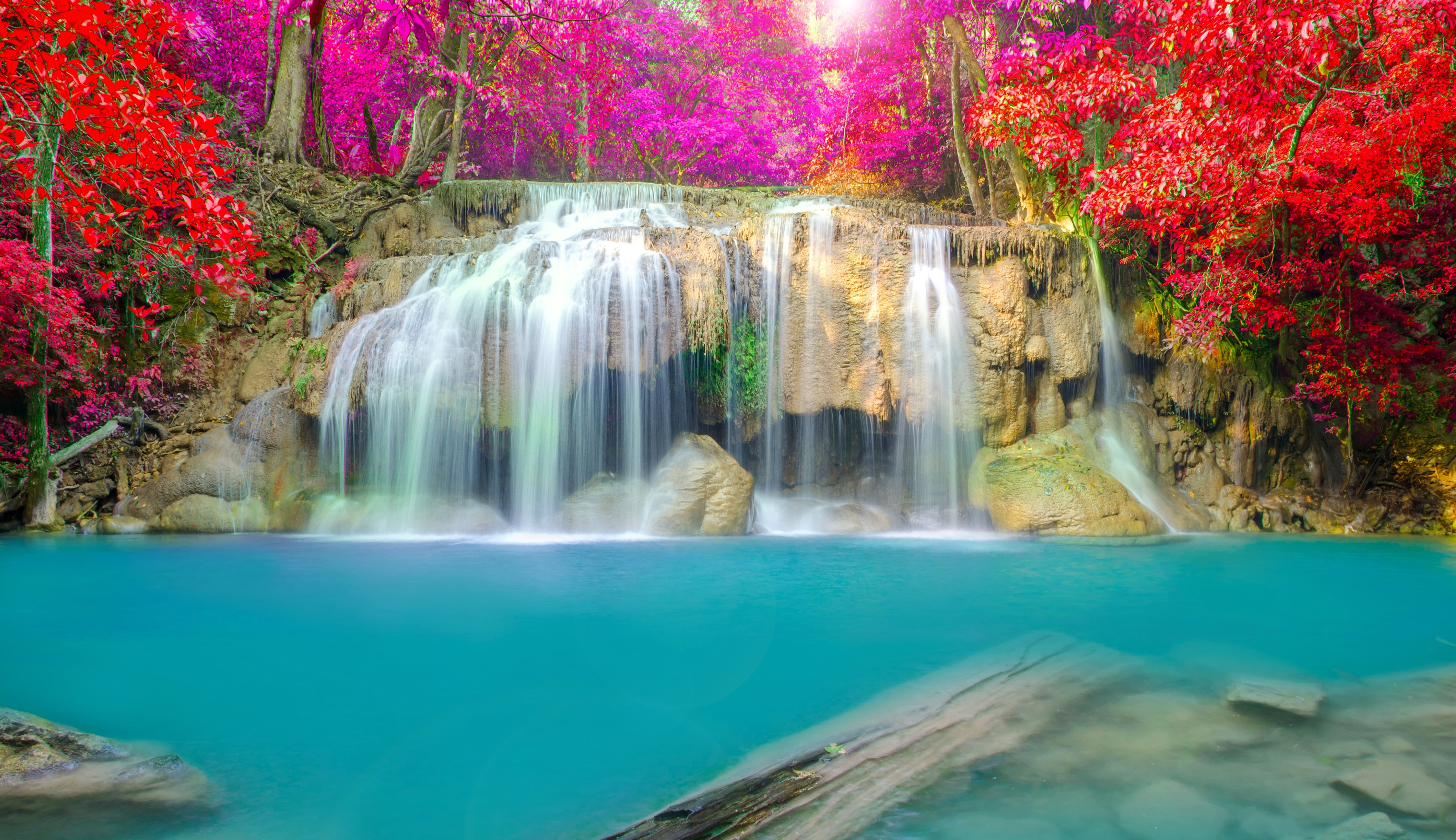 flowing Water, no people, paradise - Pennsylvania, day, water, rapid, summer, flowing, motion, multi Colored, rock, beautiful, outdoors, woodland, uncultivated, HD Wallpaper