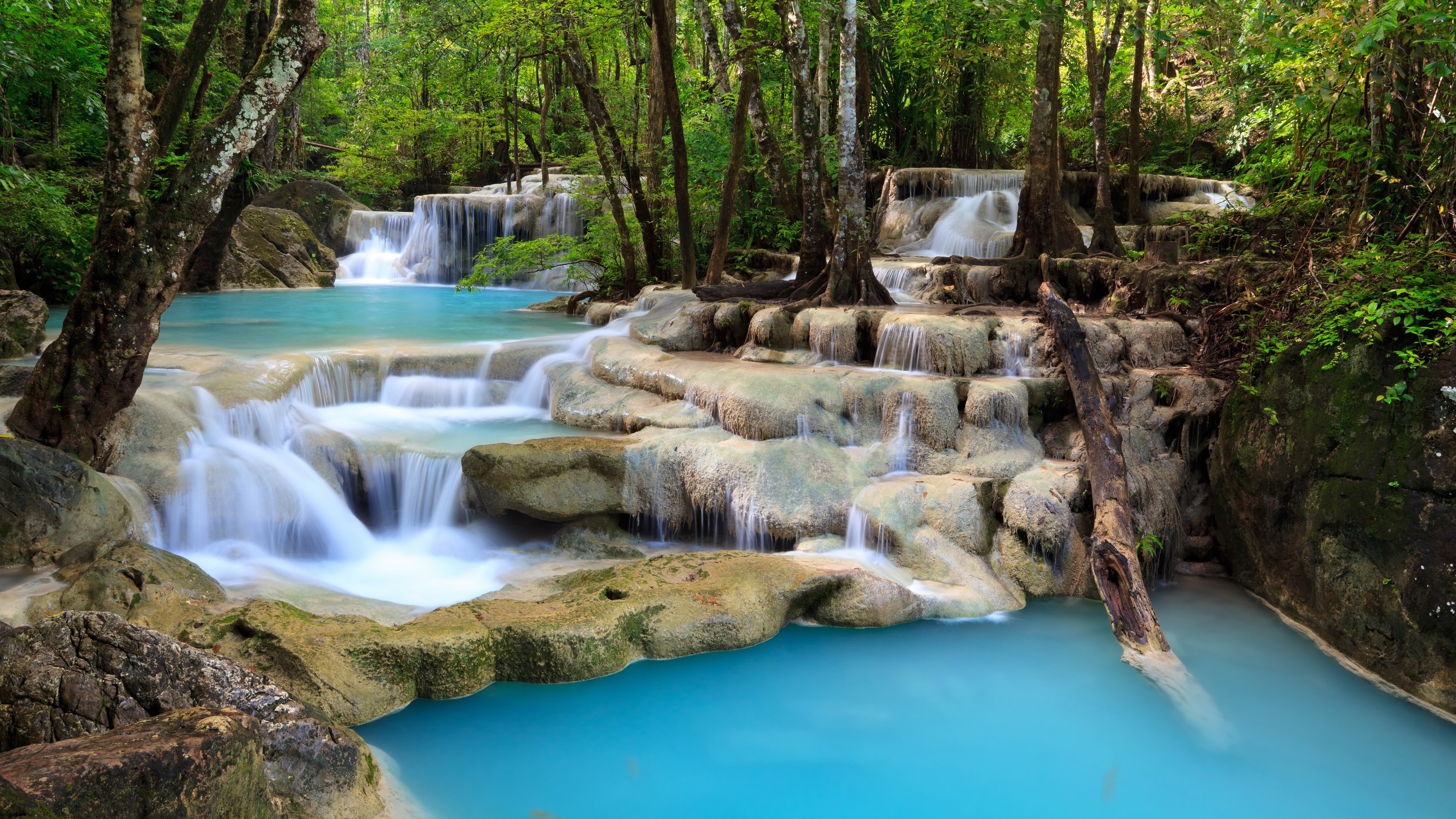 long exposure, woodland, plant, relaxation, beauty In Nature, landscape, national Park, forest, environment, rock - Object, 8K, tranquil Scene, tropical Climate, HD Wallpaper