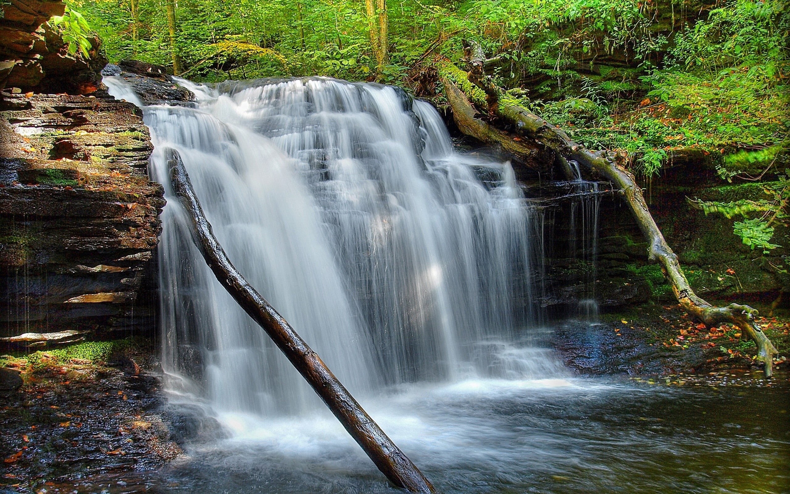 flowing Water, green Color, landscape, grass, 2K, falling water, environment, long exposure, power in nature, land, tropical Climate, woodland, tranquil Scene, HD Wallpaper