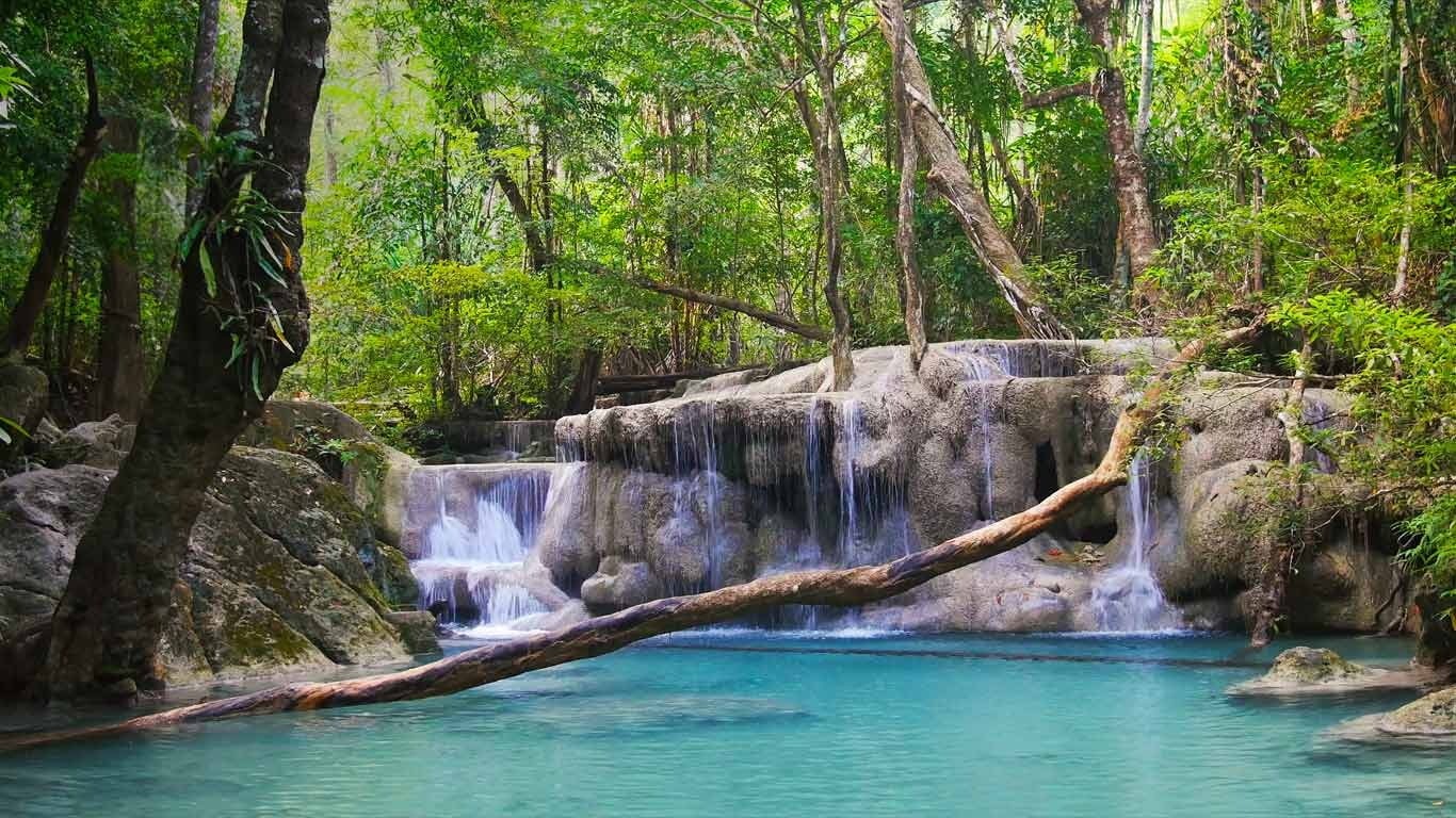 no people, environment, flowing, rainforest, growth, tranquil scene, provinc, beauty in nature, tree, national, waterfall, scenics - nature, falling water, HD Wallpaper