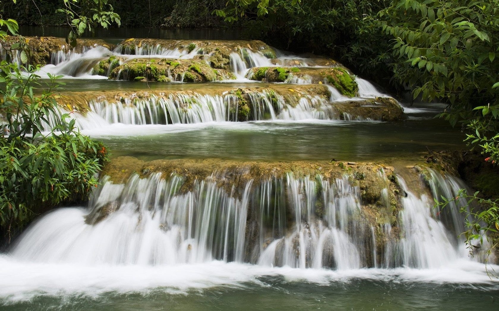 thailand, falling, leaf, forest, leaves, growth, stream, kanchanaburi Province, beauty In Nature, flowing, flowing Water, land, waterfall, landscape, rapid, HD Wallpaper