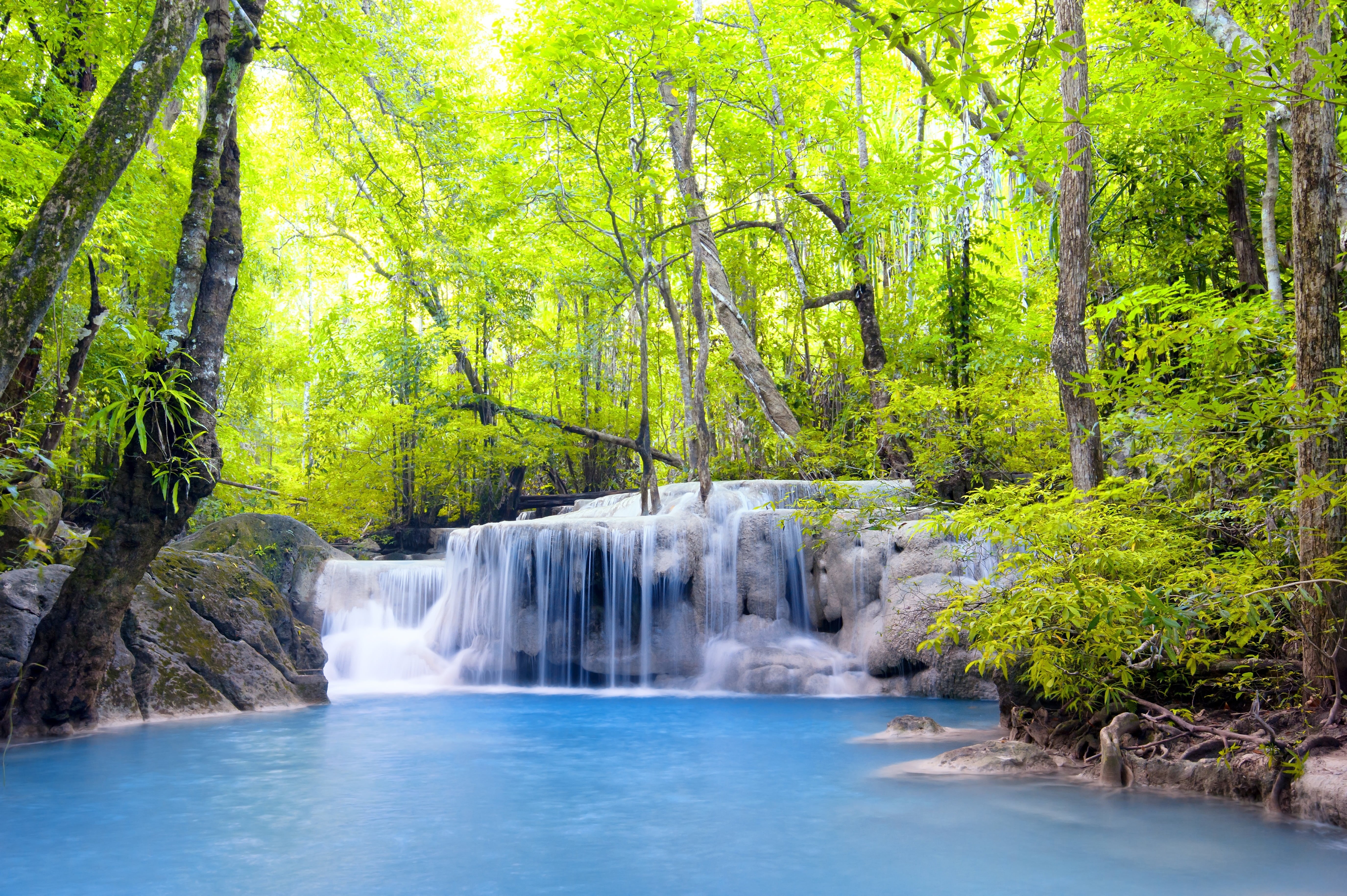 growth, beauty In Nature, landscape, scenics - nature, outdoors, rapid, flowing Water, water, tree, tropical Rainforest, scenics, rainforest, heaven, travel, HD Wallpaper