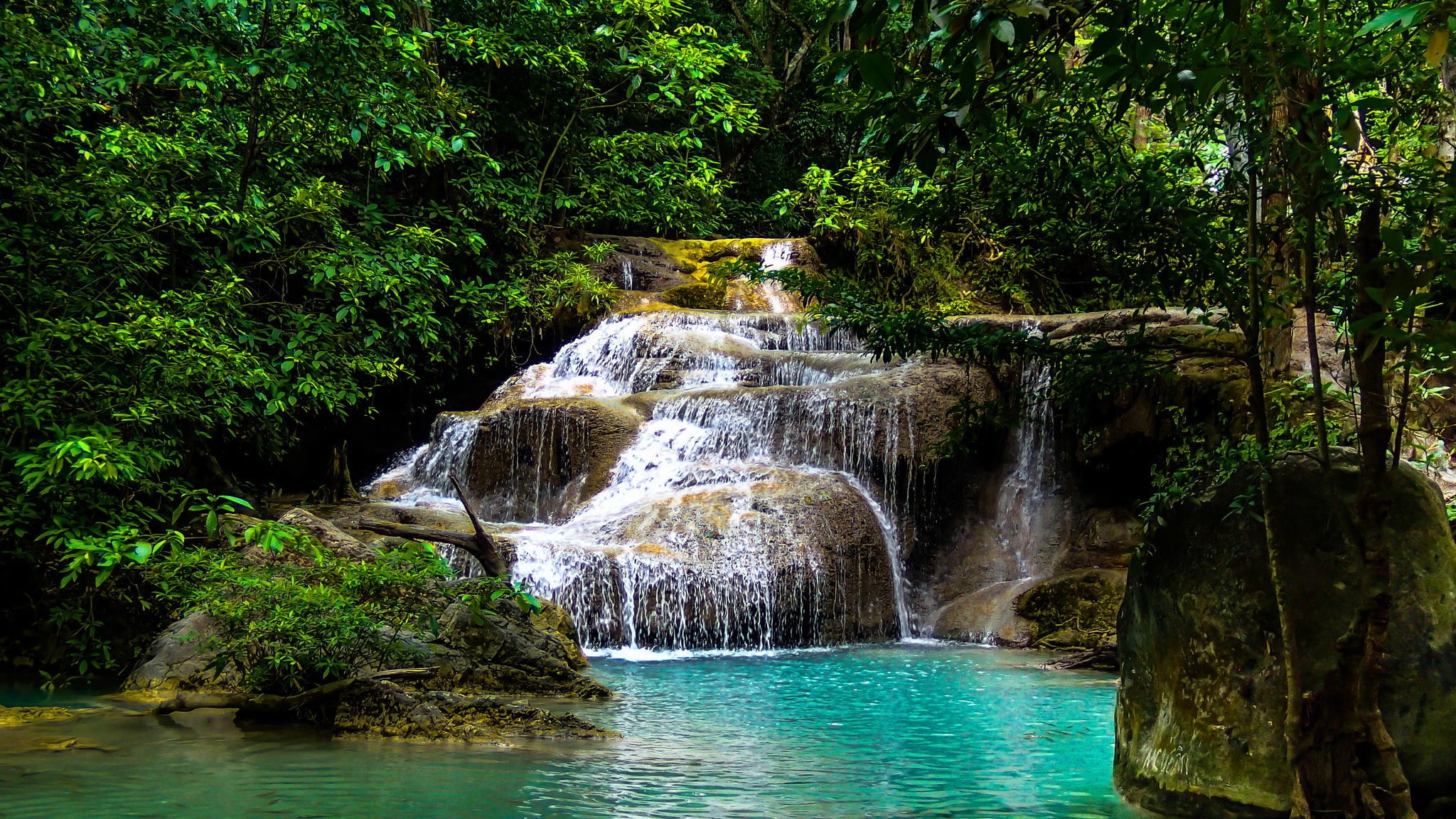 tranquility, trees, lake, stream, rock, nature, leaf, plant, summer, waterfall, kanchanaburi Province, purity, plants, thailand, beauty In Nature, uncultivated, HD Wallpaper