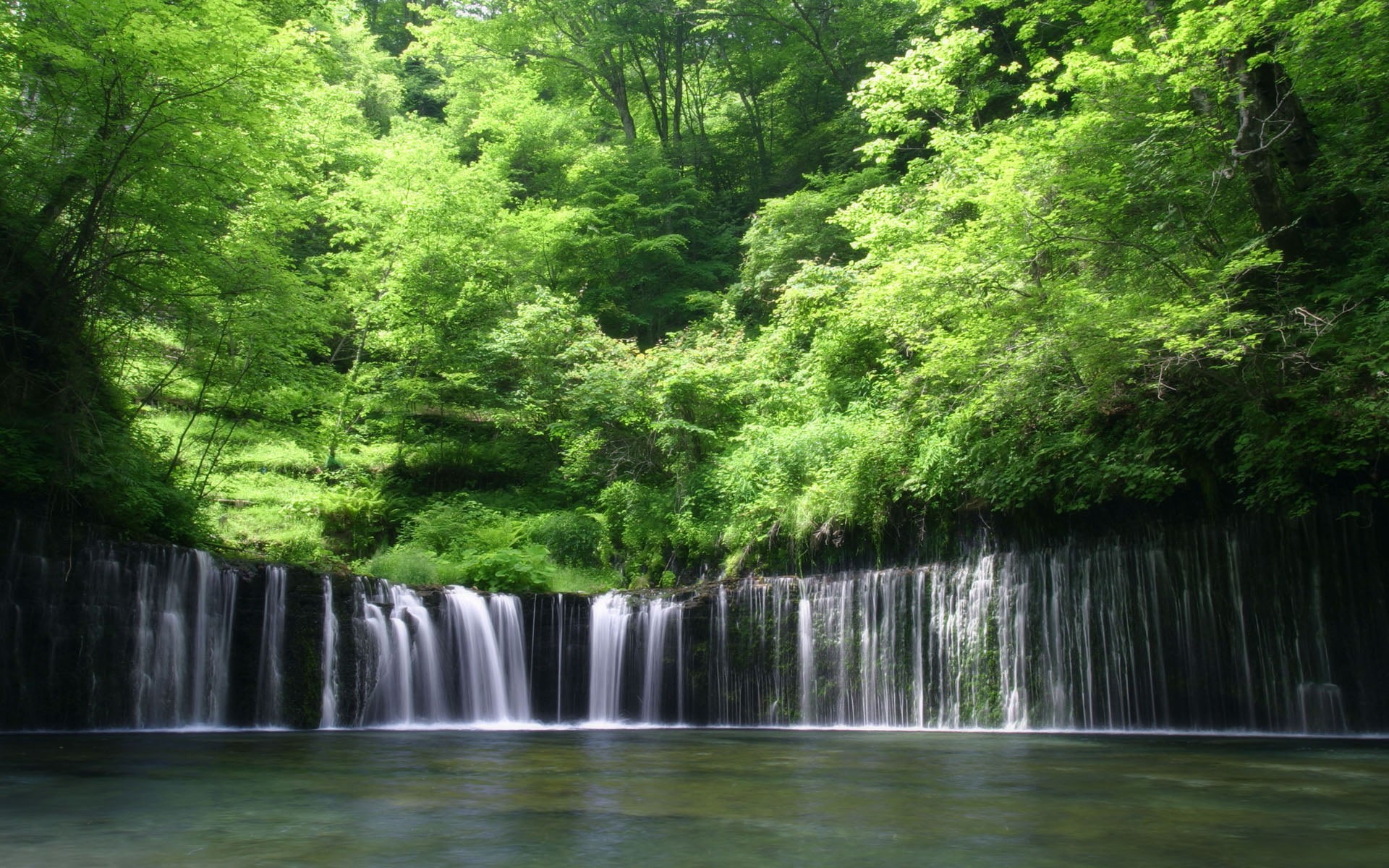 flowing Water, landscape, environment, power in nature, motion, long exposure, green, foliage, Waterfall, green Color, flowing, tree, tropical Rainforest, HD Wallpaper