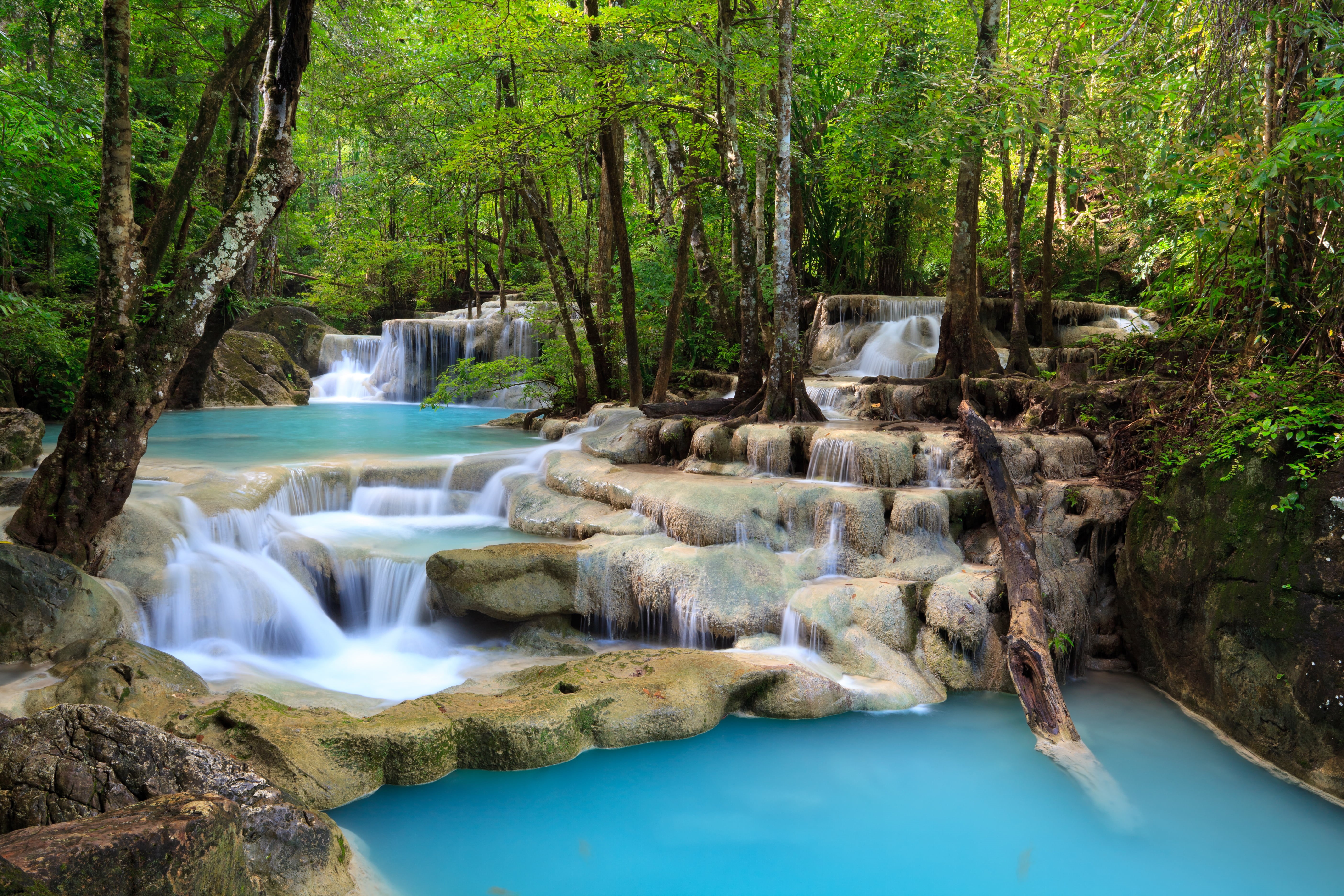 forest, leaf, non-urban scene, foliage, kanchanaburi Province, rock - Object, rainforest, green, deep forest, tranquil Scene, leafed, scenics, beauty In Nature, HD Wallpaper