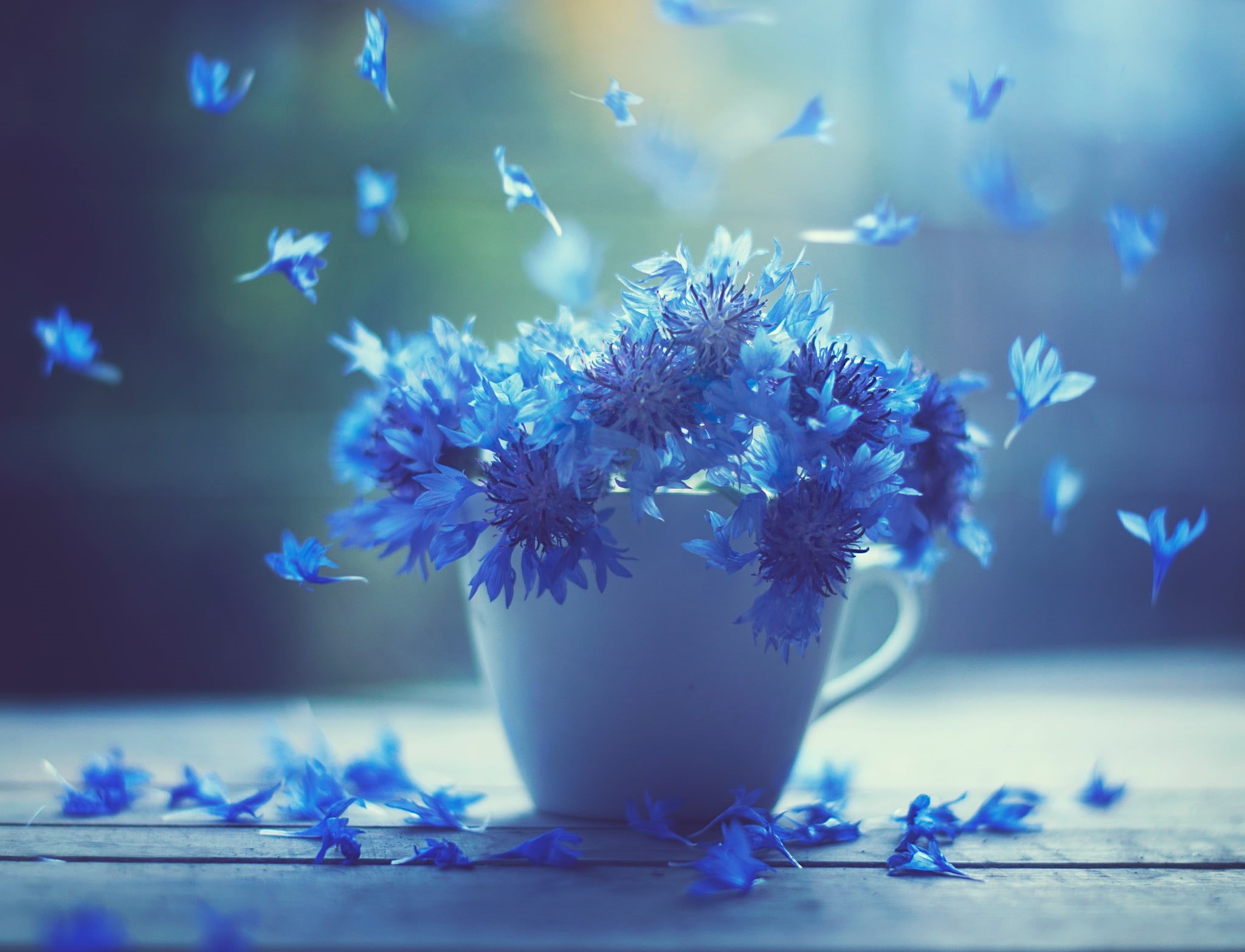 decoration, bouquet, petal, backgrounds, 1080P, table, bunch of flowers, vulnerability, drink, flower, flowers, season, macro, no People, fragility, selective focus, HD Wallpaper