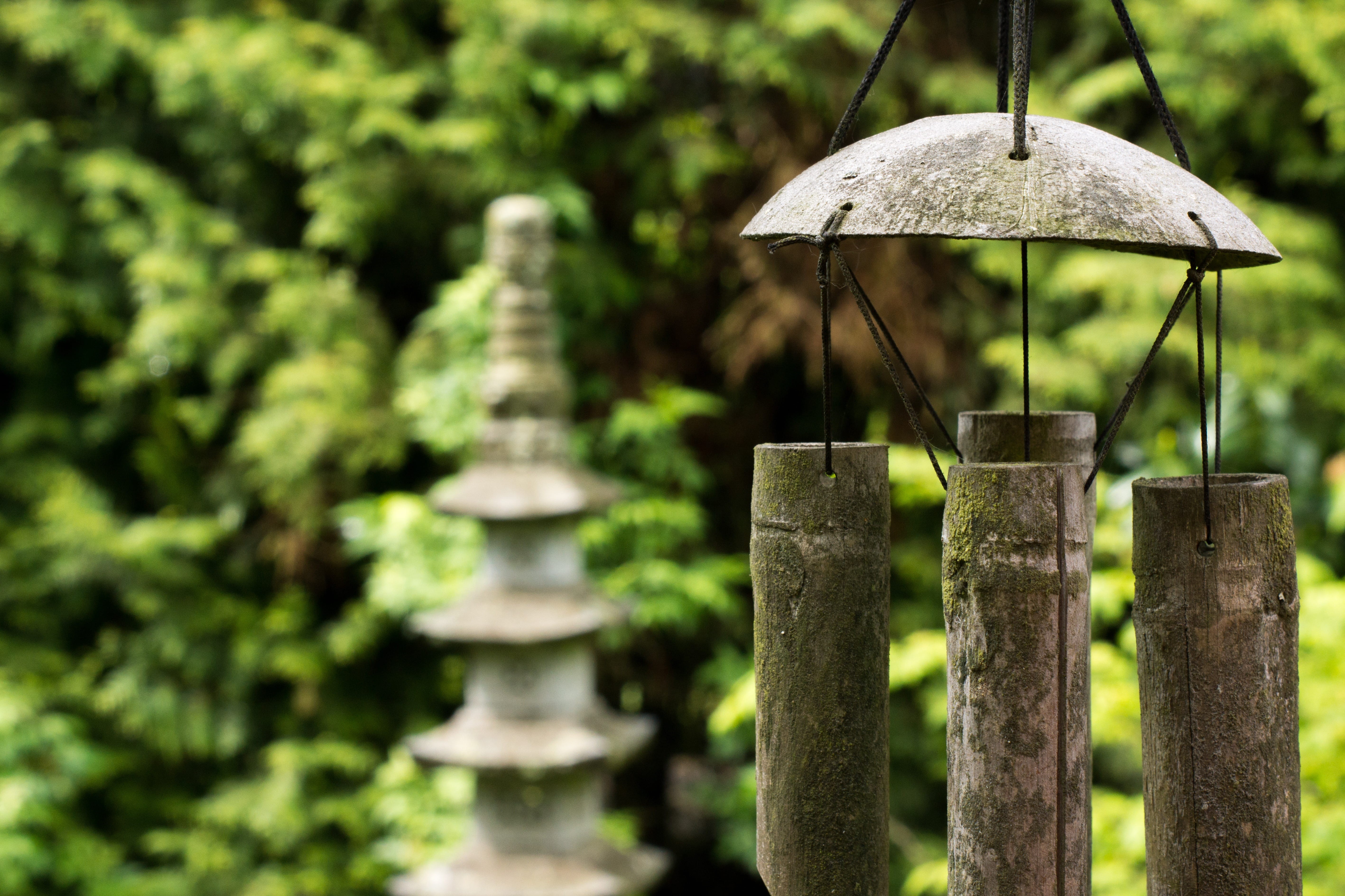 close-up, boundary, relaxation, fence, relax, nature, trees, feng shui, lighting equipment, beauty in nature, focus on foreground, tranquility, near, japanese garden, HD Wallpaper