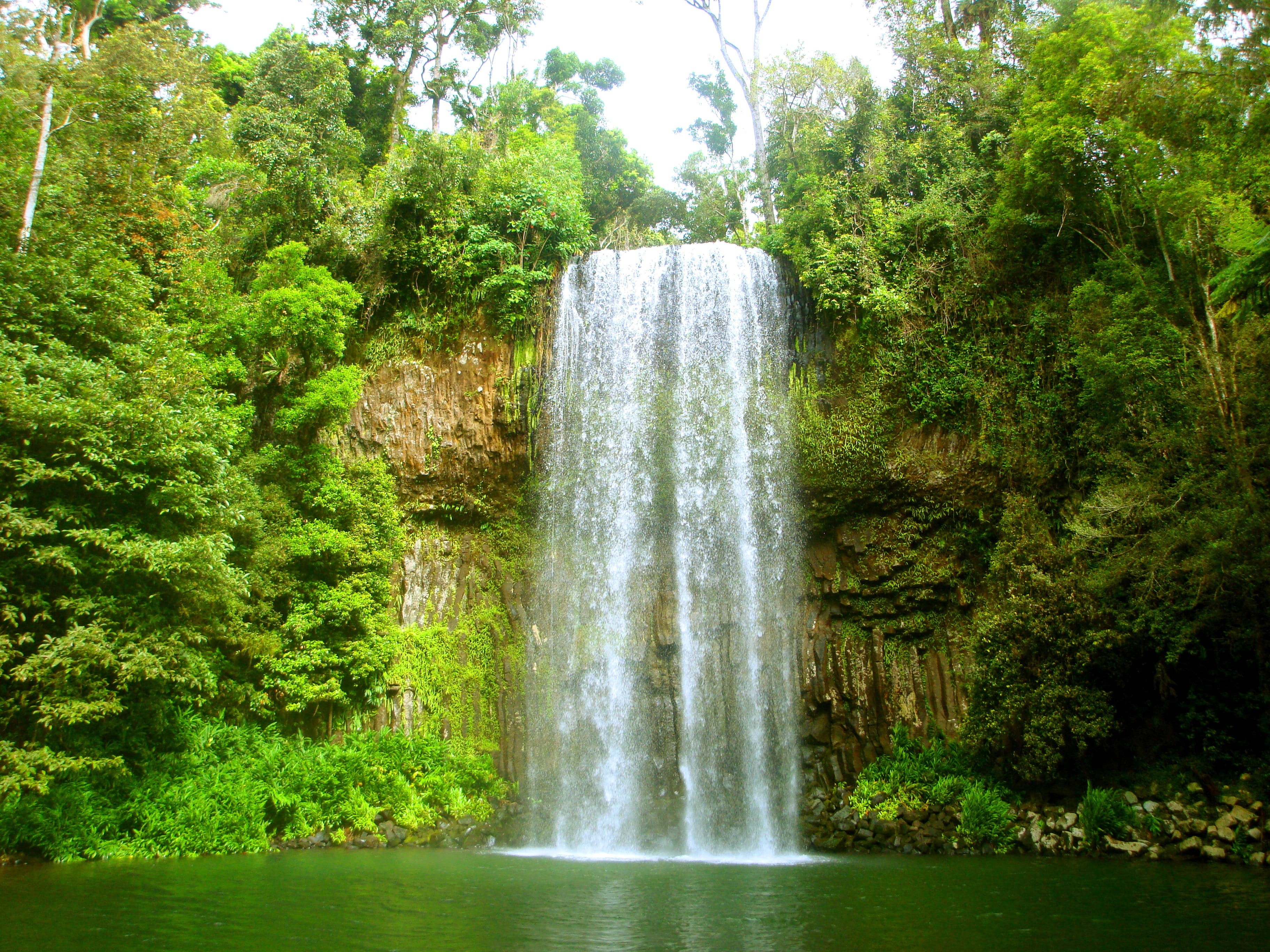 outdoors, swim, non-urban scene, outdoor, high, clear, mystical, water feature, fairytale, shower, water, plant, recovery, growth, landscape, little lake, HD Wallpaper
