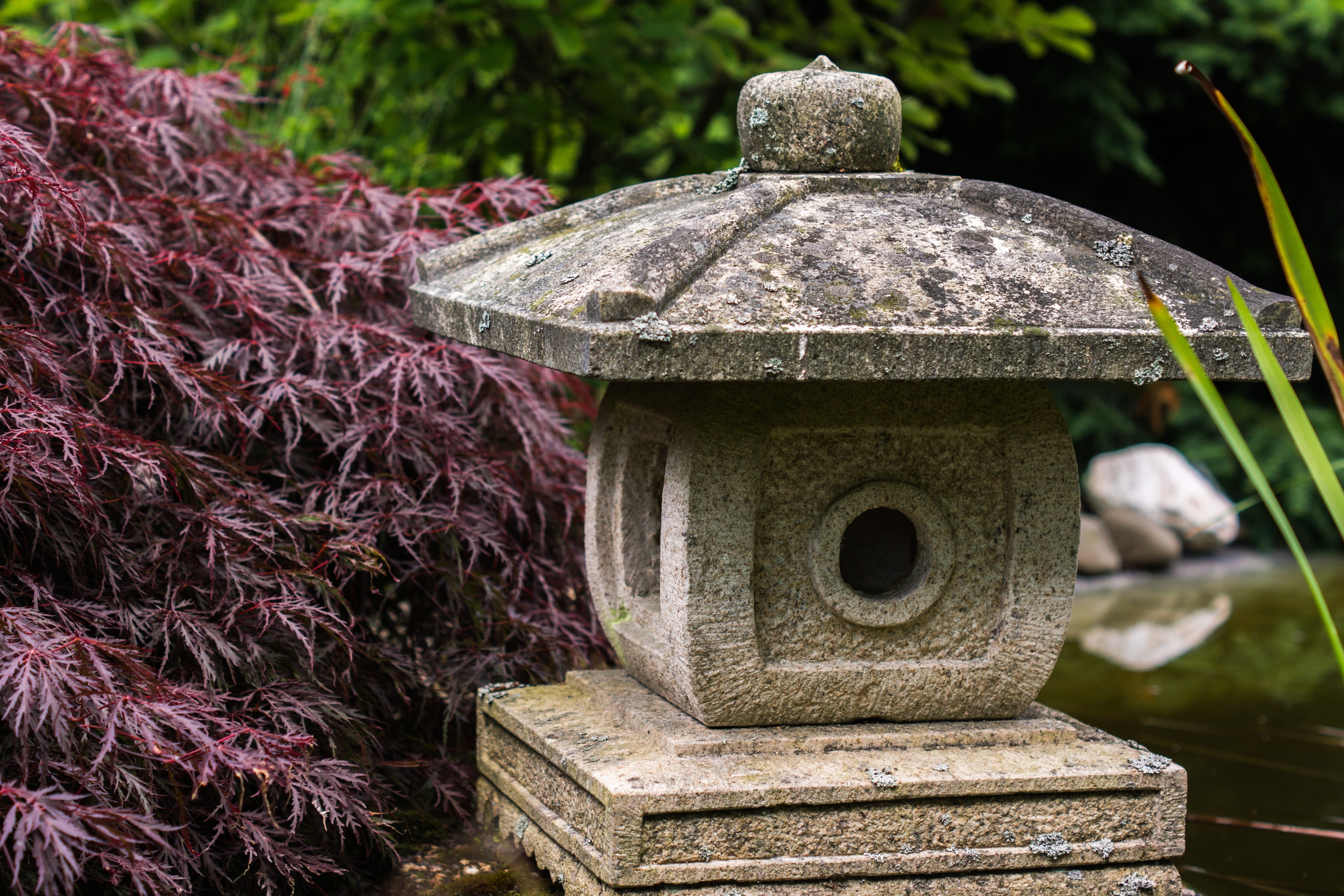 relaxation, religion, belief, japanese garden, close-up, lantern, built structure, spirituality, maroon, day, no people, outdoors, architecture, focus on foreground, HD Wallpaper