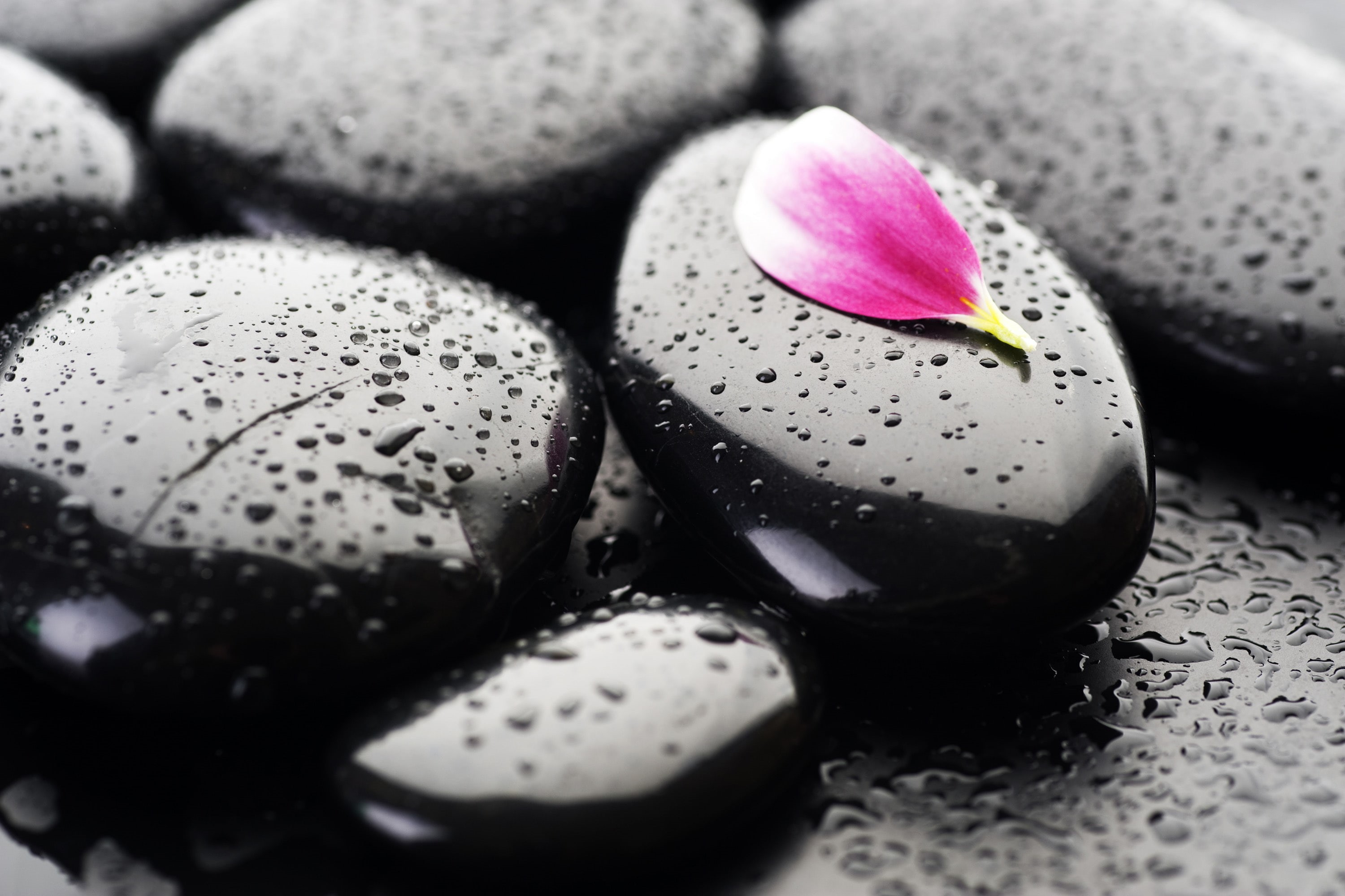 stone - Object, pebble, pink, black Color, healthcare And Medicine, alternative Therapy, health Spa, close-up, nature, stones, backgrounds, 2K, relaxation, HD Wallpaper