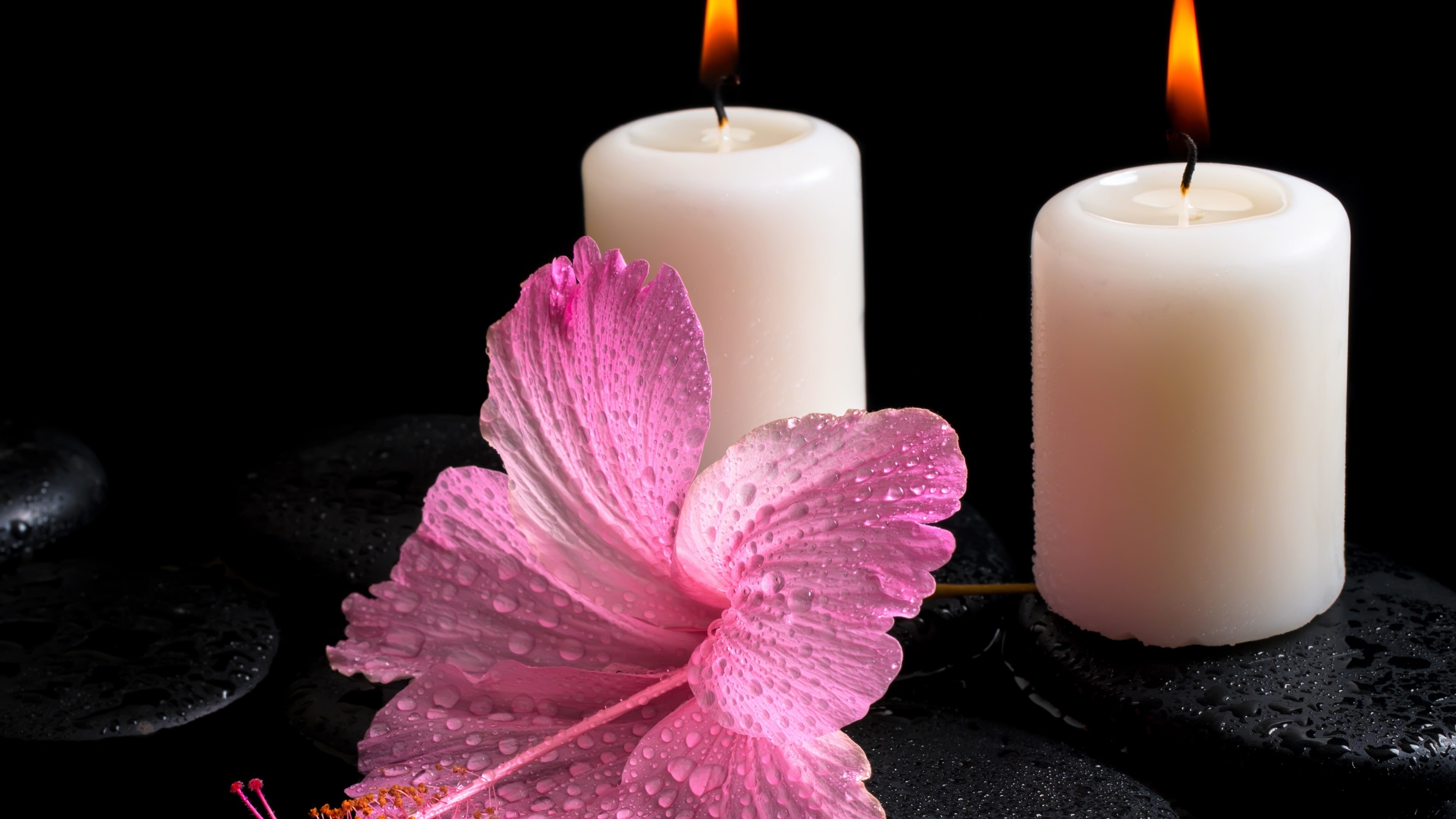 Candles, Water, Drops, Hibiscus, Light, White, candle, Fire, Flower, two, pillars, 4K, HD Wallpaper