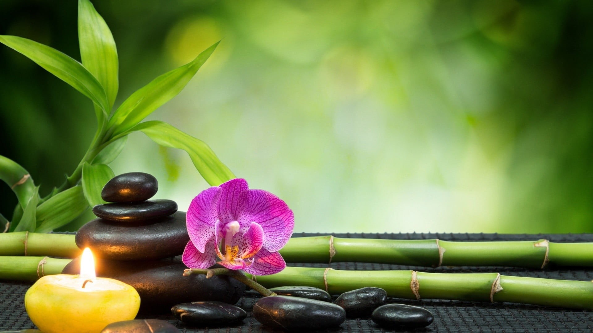 spa treatment, day, still life, wellbeing, plant part, purple, flowering plant, close-up, pink color, surface, nature, no people, plant, bamboo, pebble, HD Wallpaper