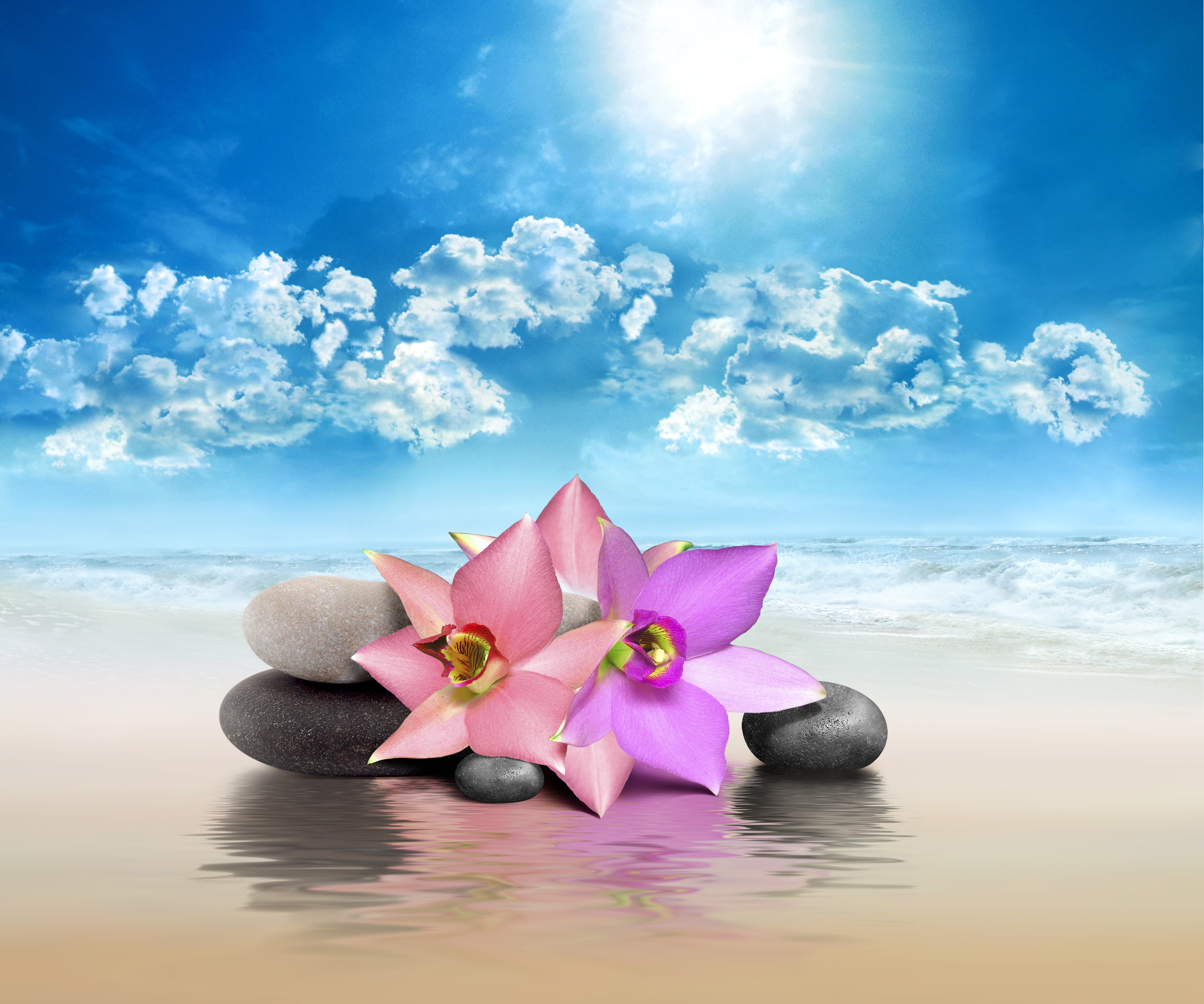 purple, leaf, cloud - Sky, blue, sea, floating on water, pink Color, backgrounds, holiday, sky, tropical Climate, freshness, plant, copy Space, bali, beauty, HD Wallpaper