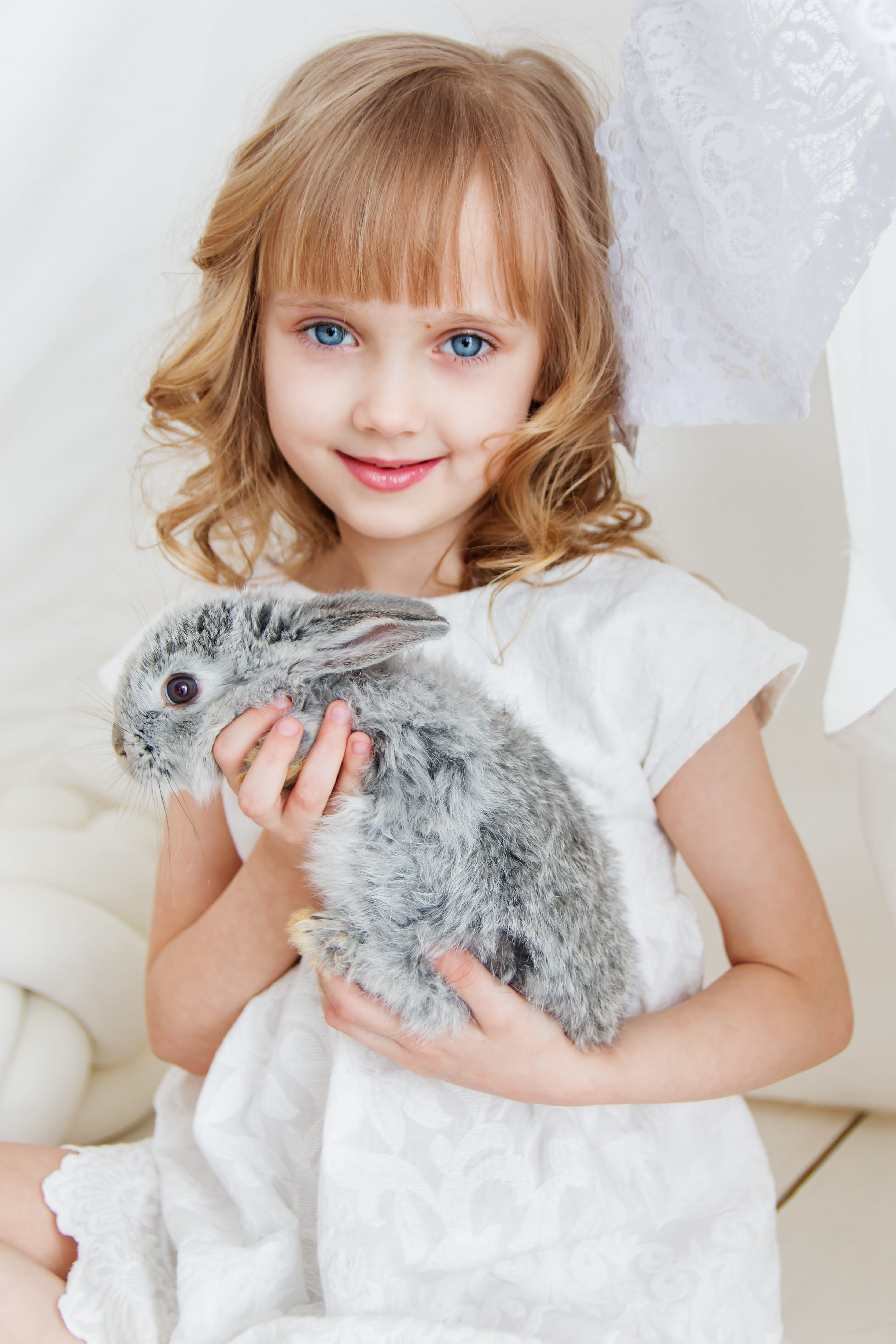 attractive, pets, smile, pretty, nice, grey, sit, pet, one person, girl, women, pet owner, joy, front view, one animal, hug, bunny, cute, domestic animals, Phone HD Wallpaper