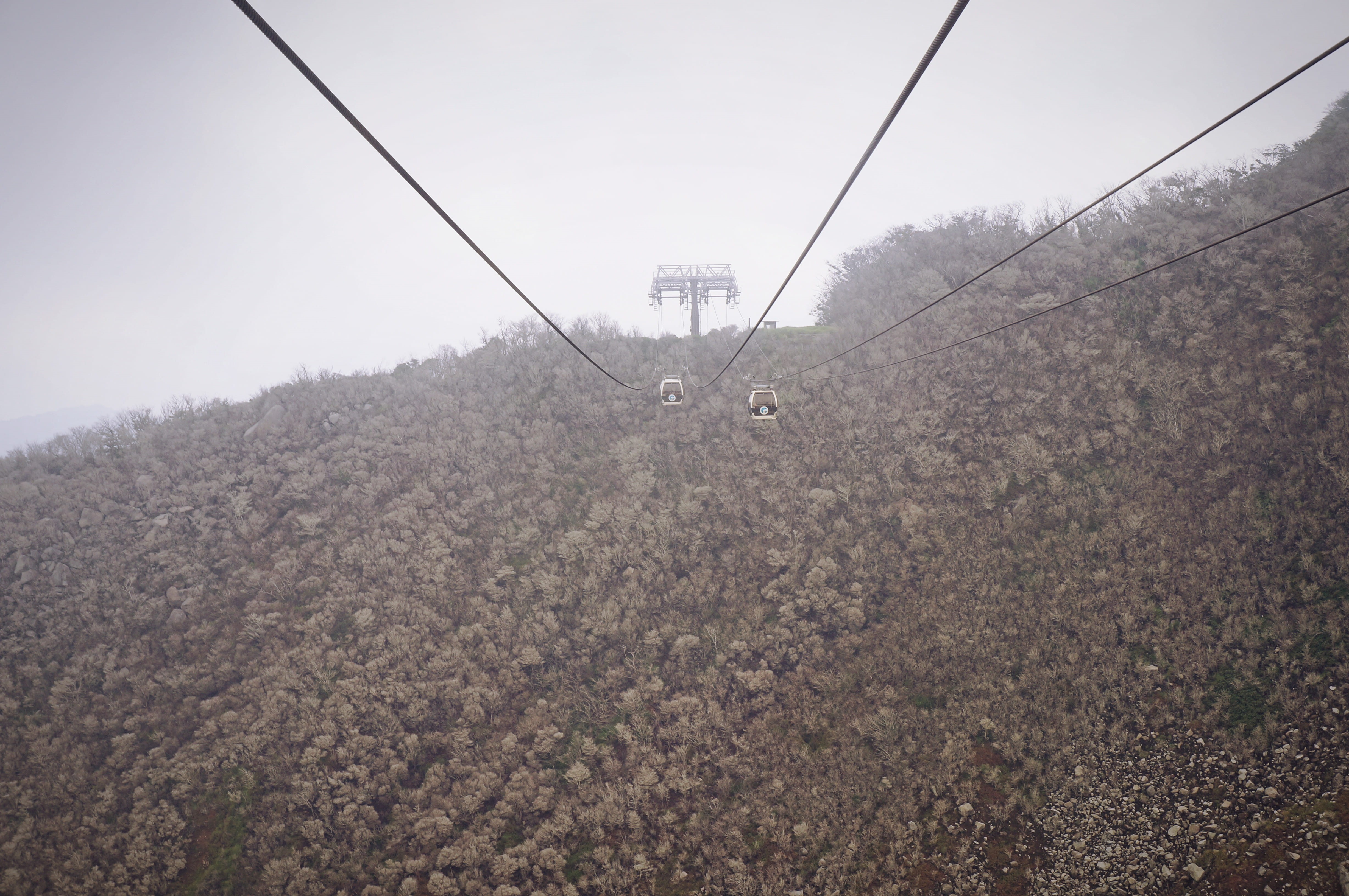 tree, japan, owakudani station, electricity, fog, technology, power line, cable car, power supply, sky, outdoors, plant, 4K, no people, nature, mountain, HD Wallpaper
