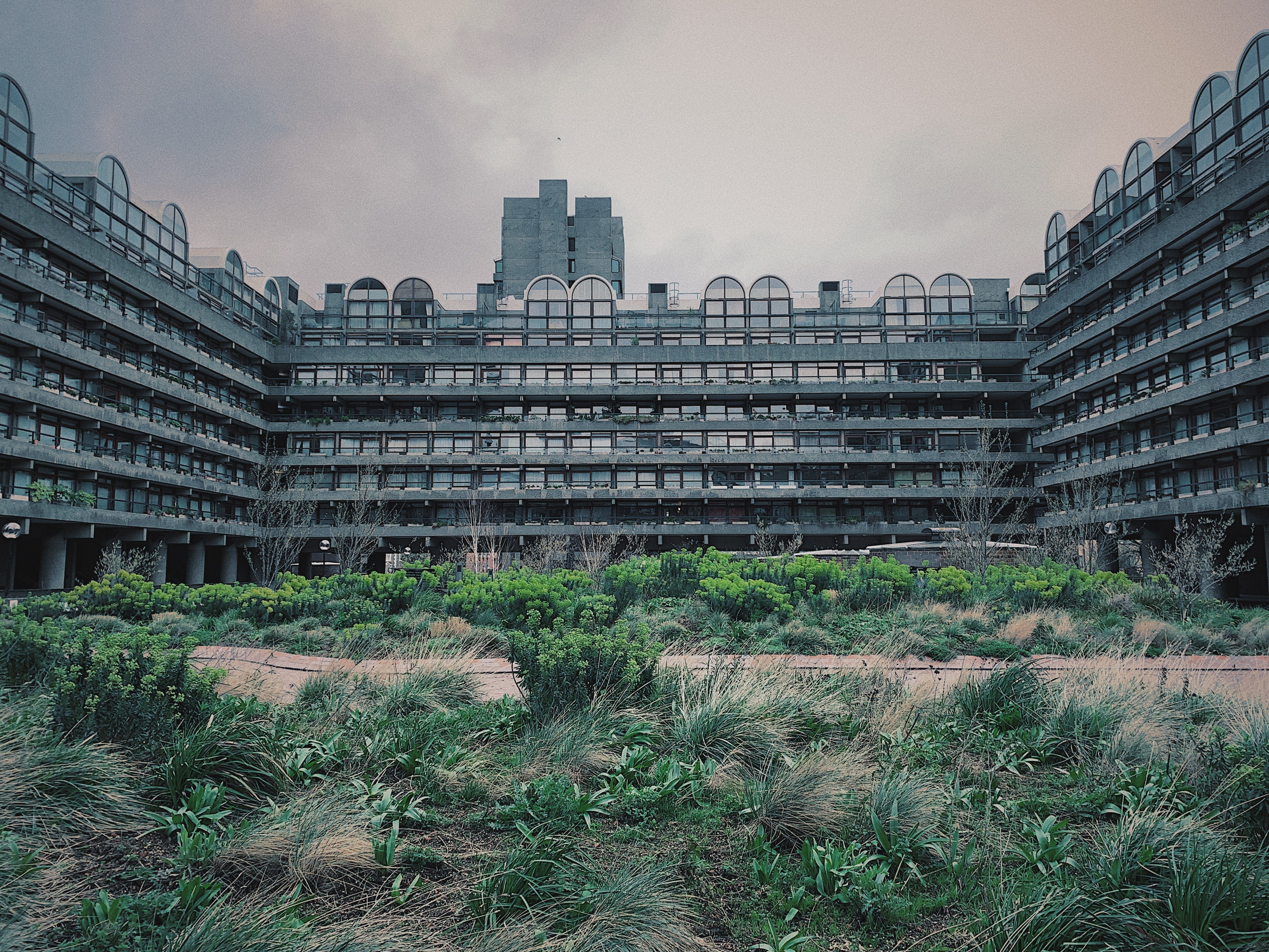 campus, barbican, nature, office building, sky, growth, architecture, tree, town, high rise, apartment, low angle view, day, building exterior, grass, london, HD Wallpaper
