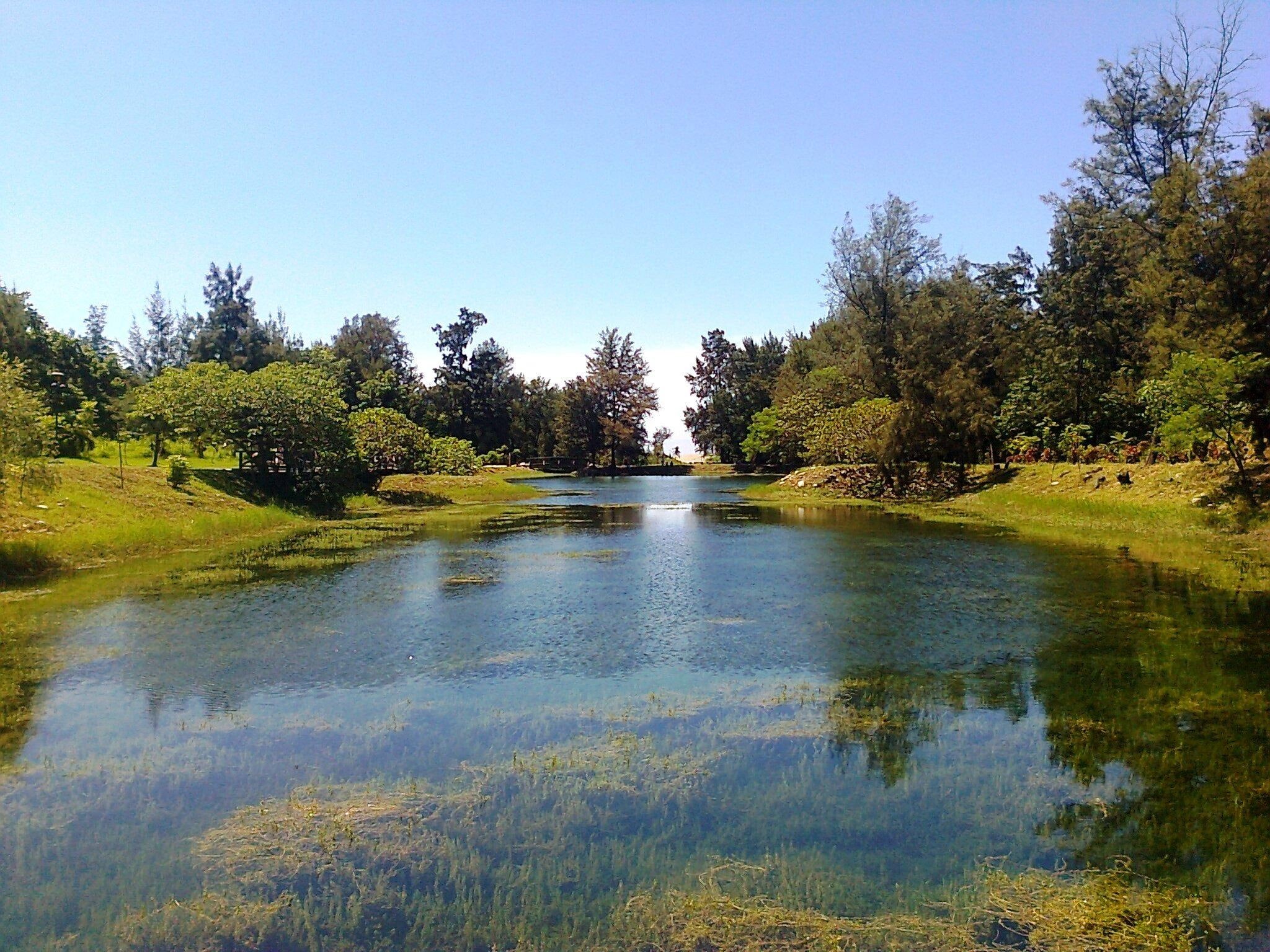 body, green, 3d and abstract, forest park, grass, water, biwa, 1080P, middle, lake, reflection, estuarine plants, HD Wallpaper