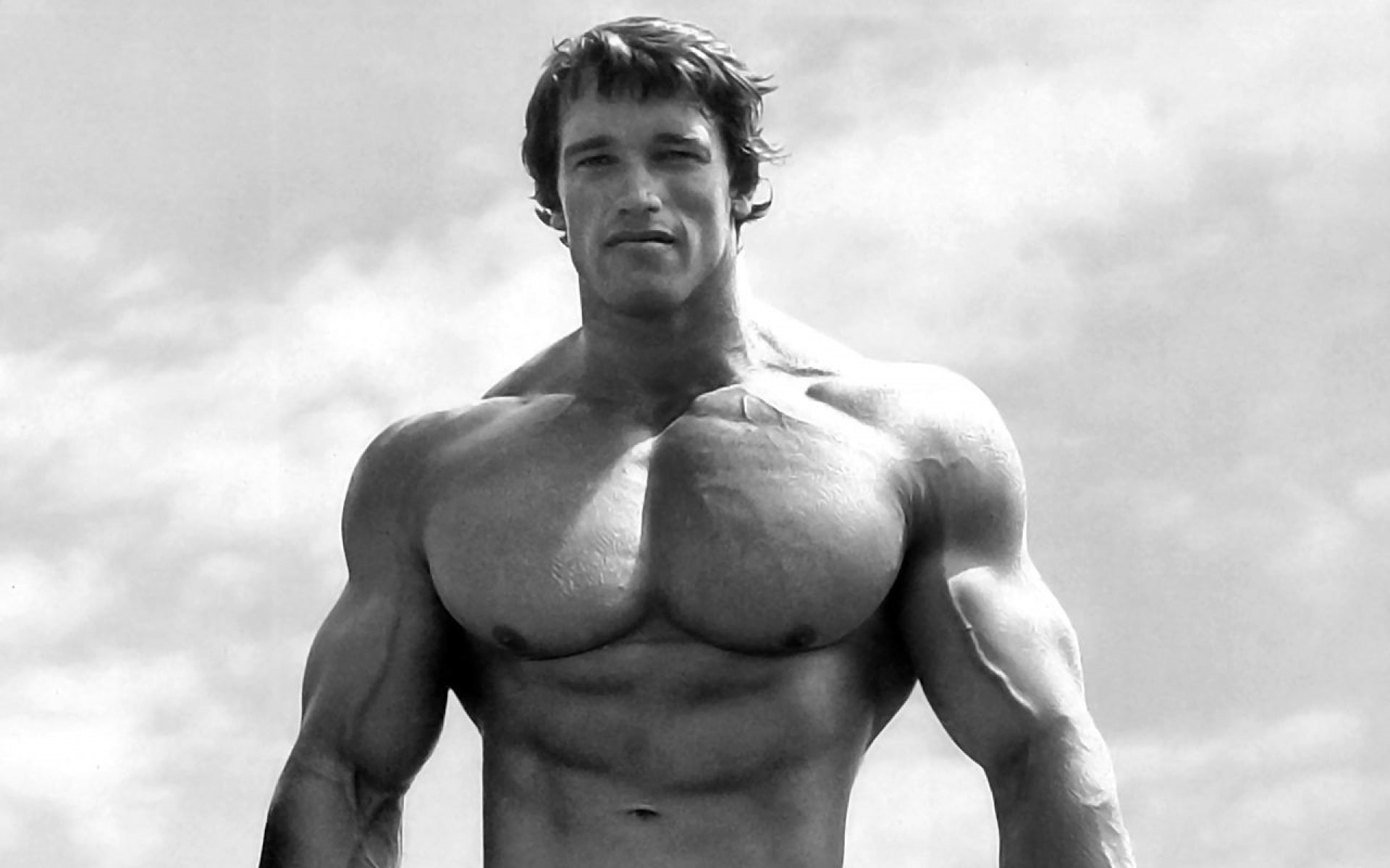 fitness, b w, arnold, schwarzenegger, bodybiulding, men, body, muscle, 1080P, HD Wallpaper