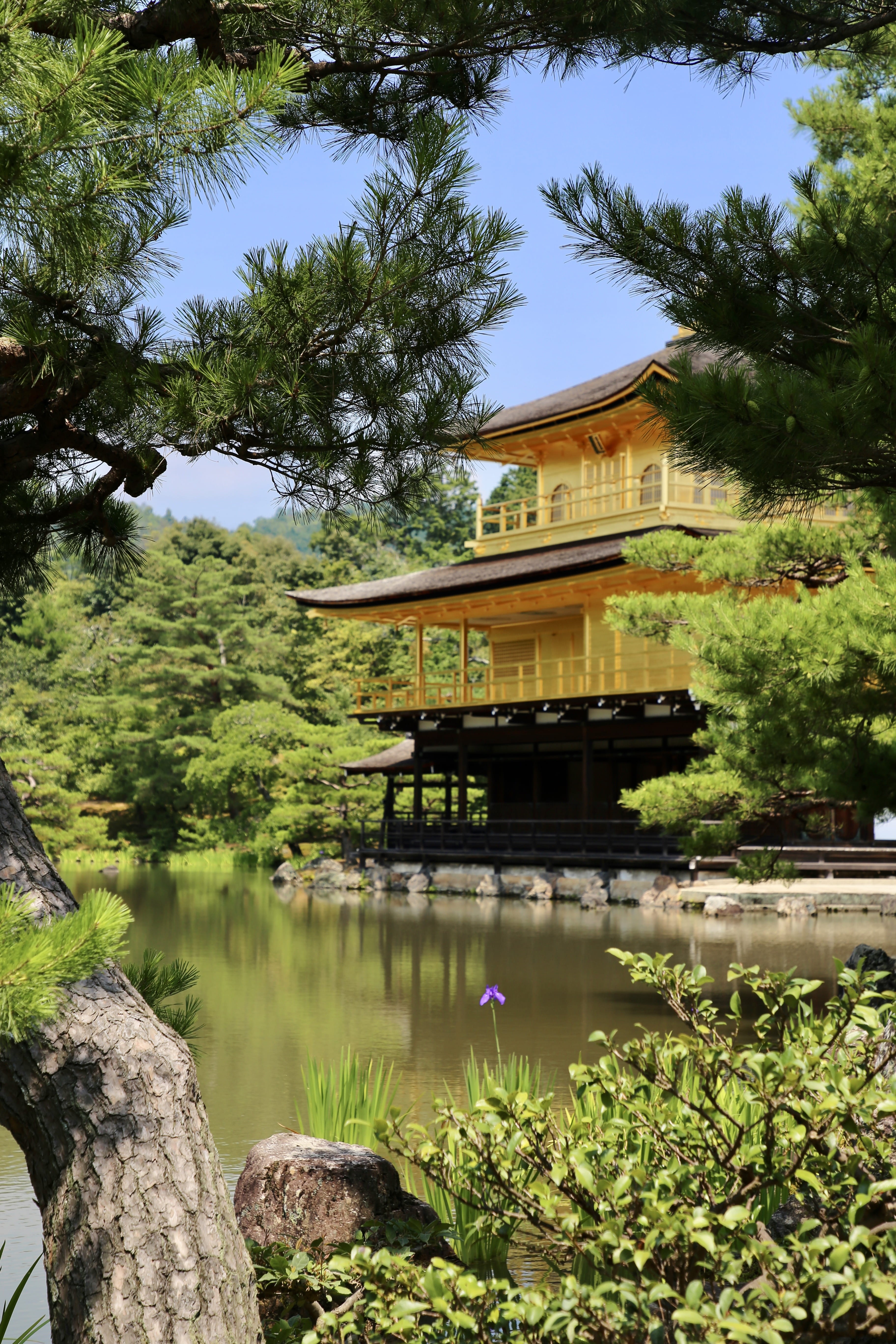 house, building exterior, reflection, beside, bridge, water, outdoors, architecture, plant, religion, day, 5K, travel, brown, belief, sky, travel destinations, Phone HD Wallpaper