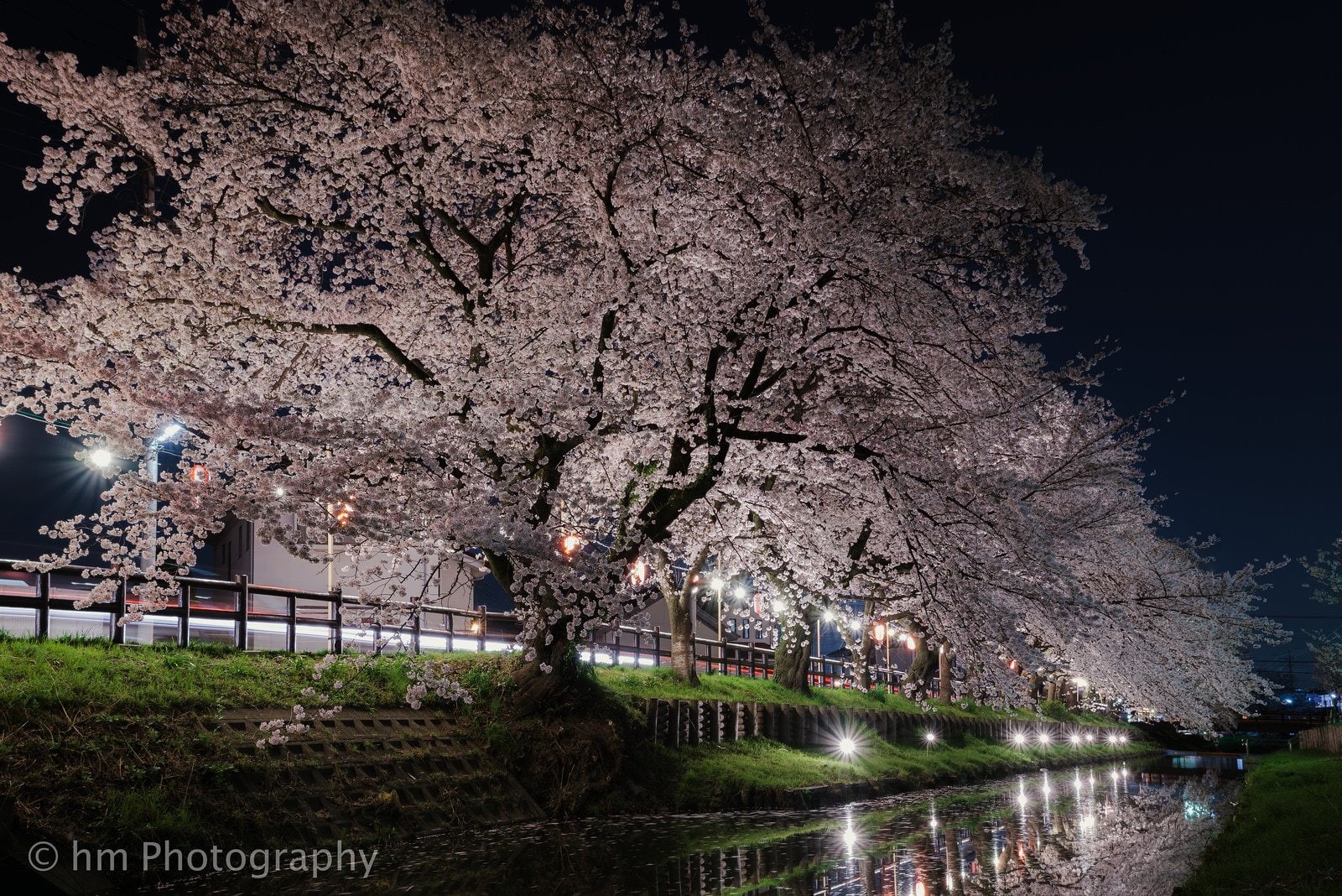 cities, architecture, nature, light, towers, bridges, 720P, monuments, rivers, tower, trees, night, japan, way, panoramic, building, japon, tokyo, ray, HD Wallpaper