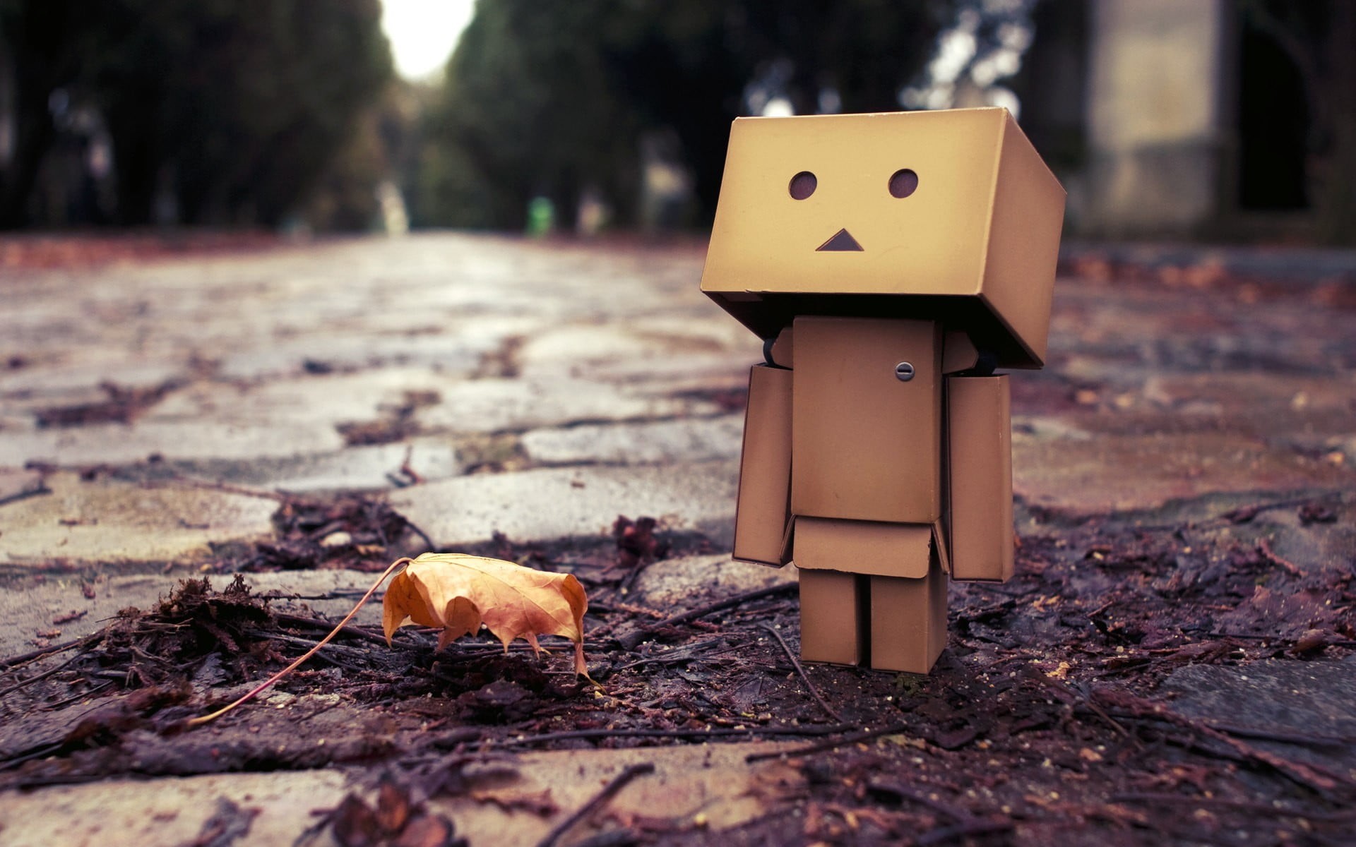 autumn, representation, Danbo, close-up, falling, leaf, 1080P, dry, creativity, plant part, male likeness, selective focus, no people, robot, tree, leaves, HD Wallpaper