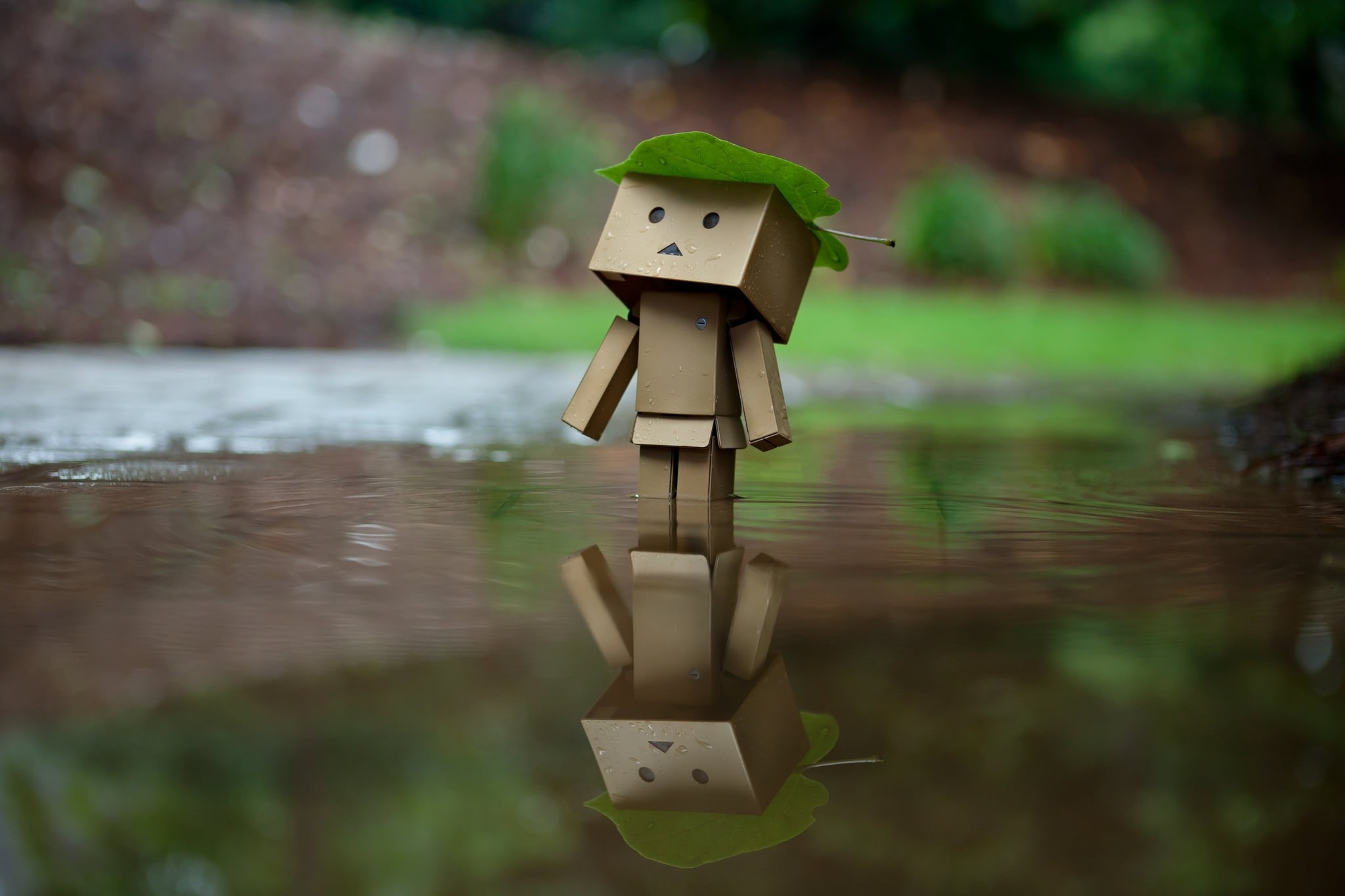 representation, bird, lake, reflection, no people, green Color, sheet, animal Nest, forest, nature, day, outdoors, toy, man, boxes, water, protection, human representation, HD Wallpaper