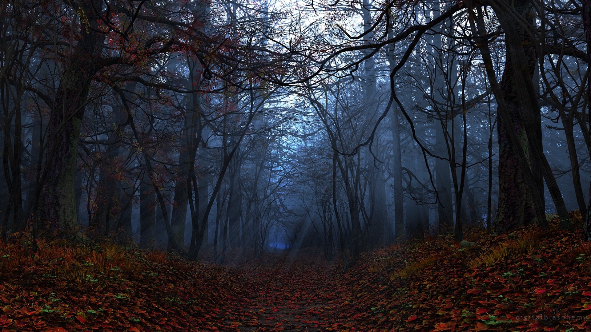 trail, leaves, trees, sunlight, hd, path, 1080P, forest, autumn, nature, dark, HD Wallpaper