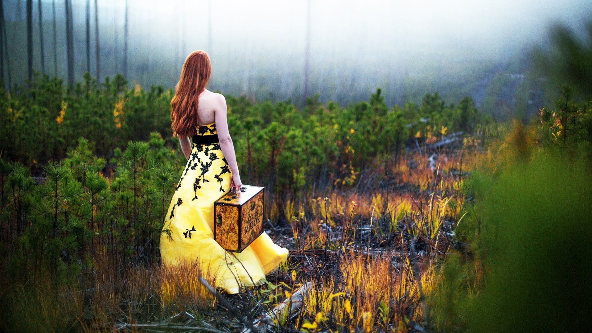 long, view, shoulders, dress, rear view, bare, women, hair, trees, long hair, suitcases, 1080P, bare shoulders, rear, field, HD Wallpaper