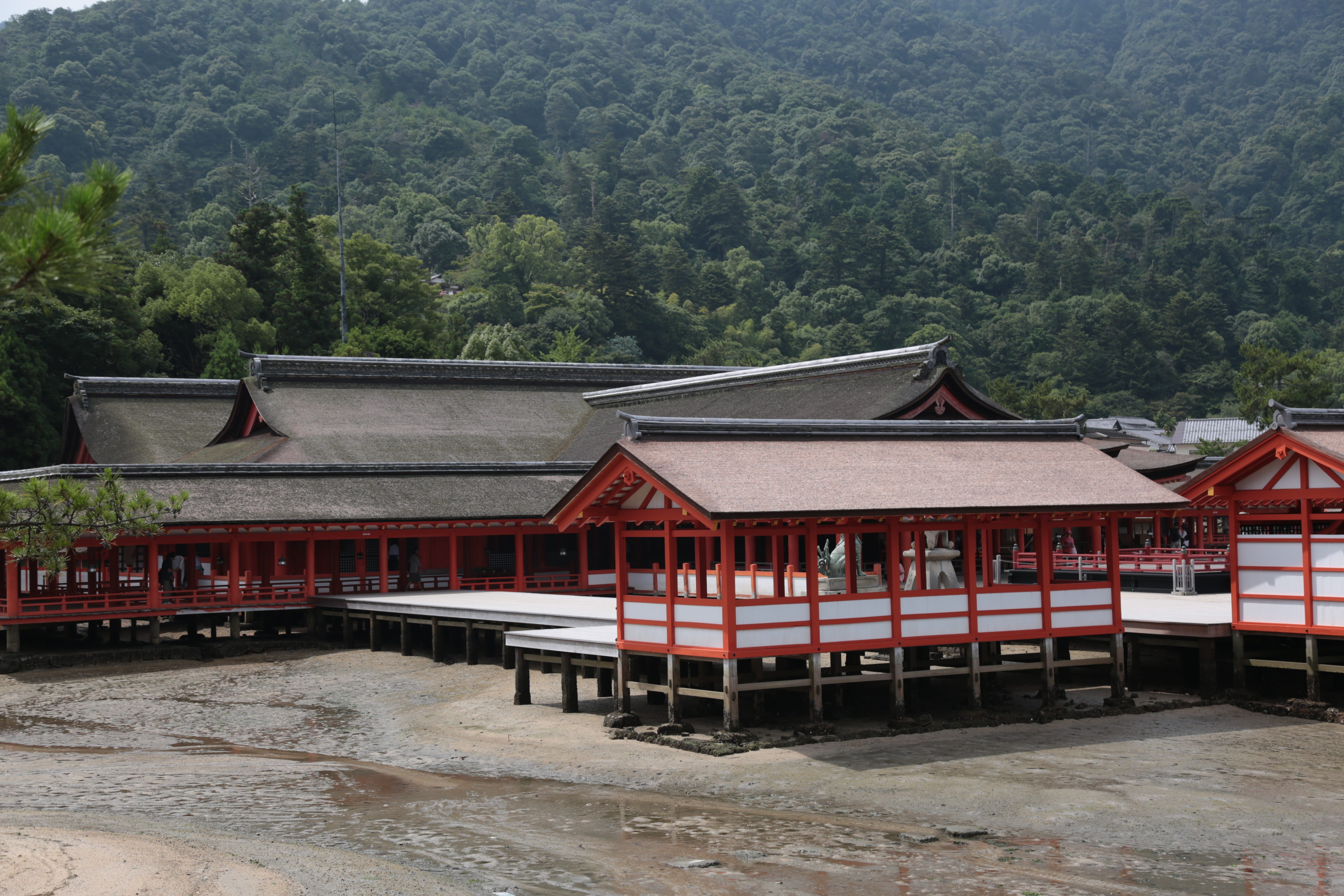 red, Miyajima, no people, Shrine, residential district, mountain, nature, 5K, Hiroshima, beauty in nature, outdoors, architecture, house, building, tree, HD Wallpaper