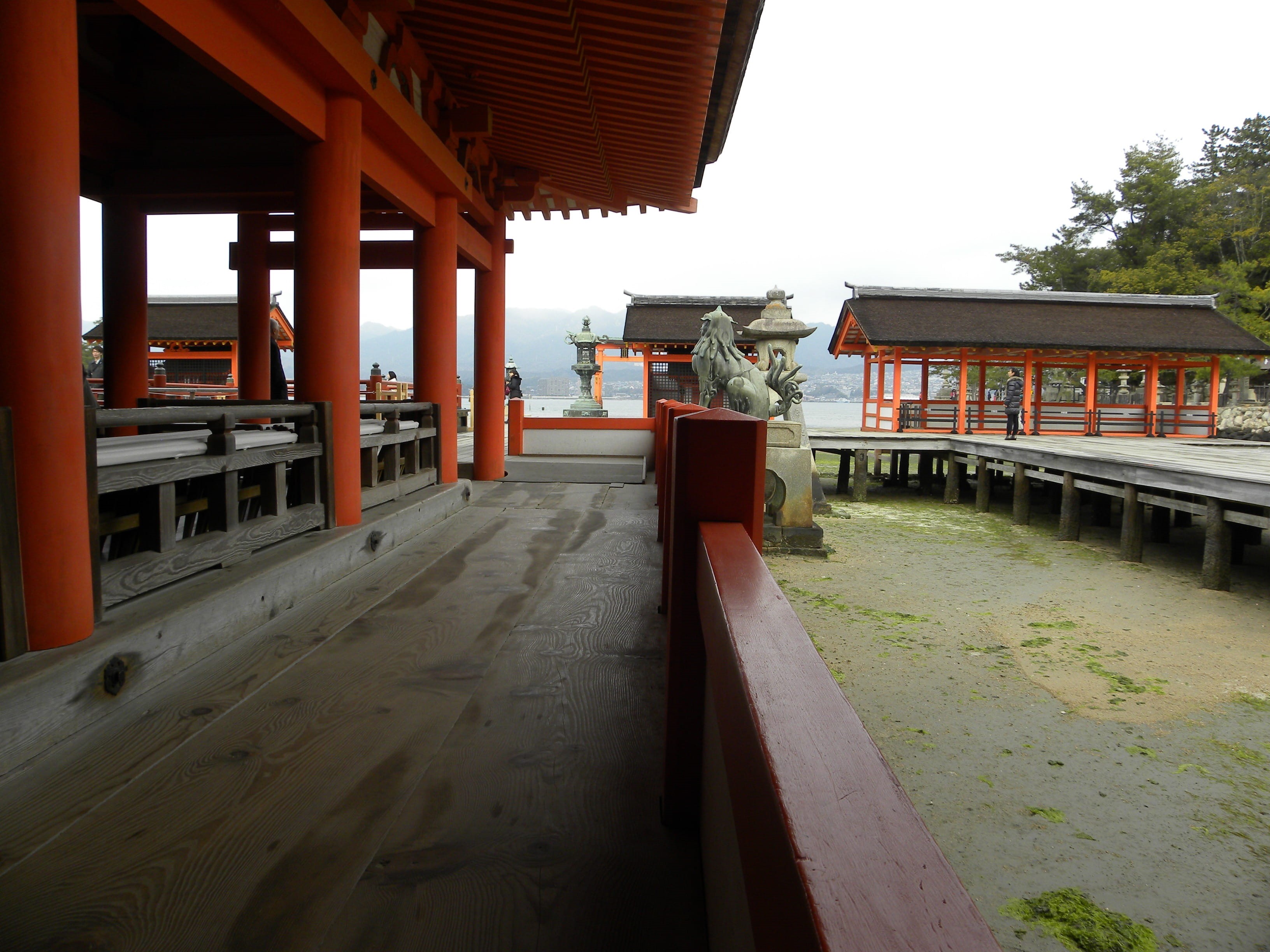 building, Board, outdoors, place of worship, building exterior, no people, belief, roof, city, miyajima, orange, day, plant, Temple, courtyard, Wood, sky, HD Wallpaper