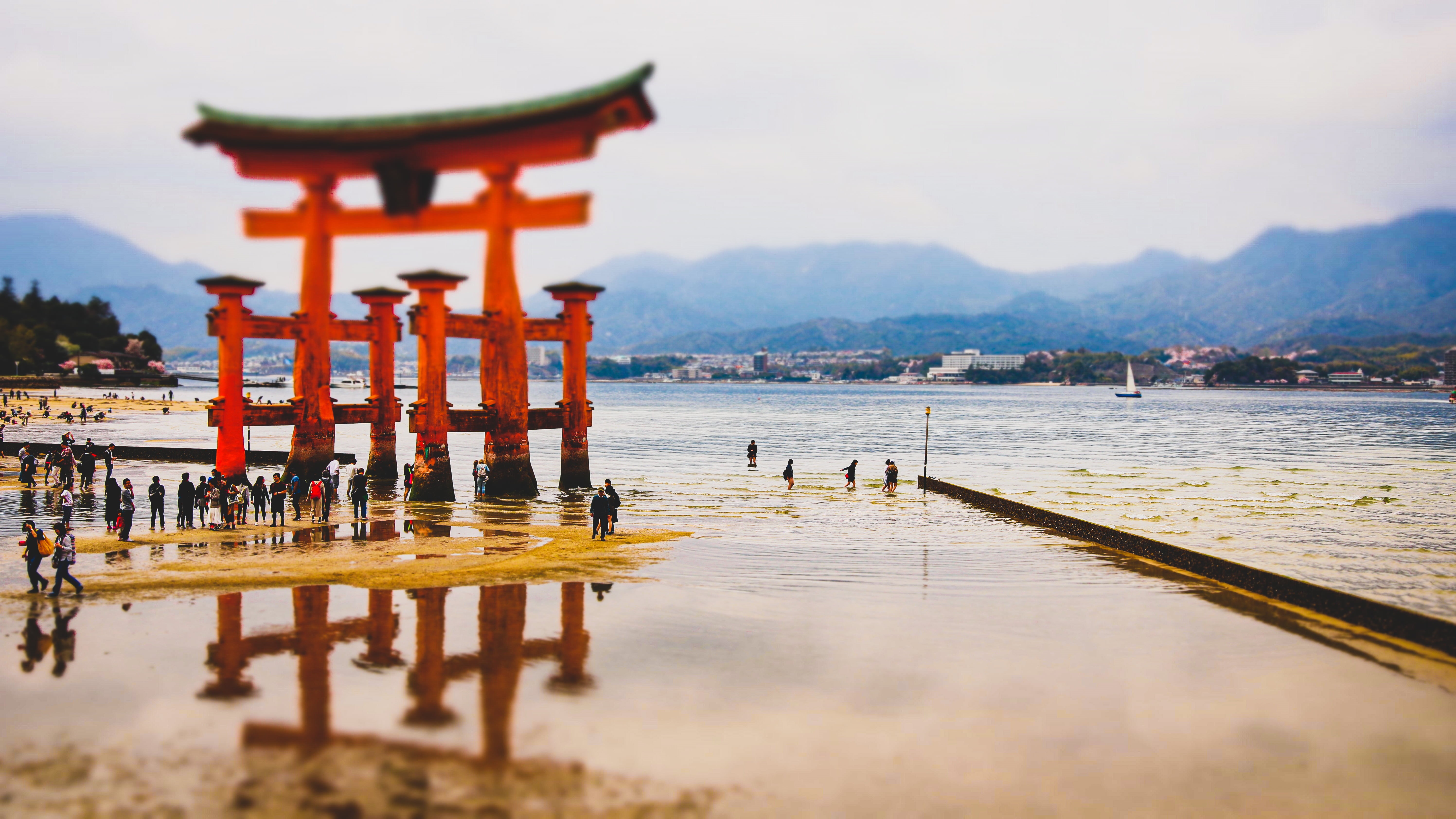Miyajima, tori, 5K, Japan, HD Wallpaper