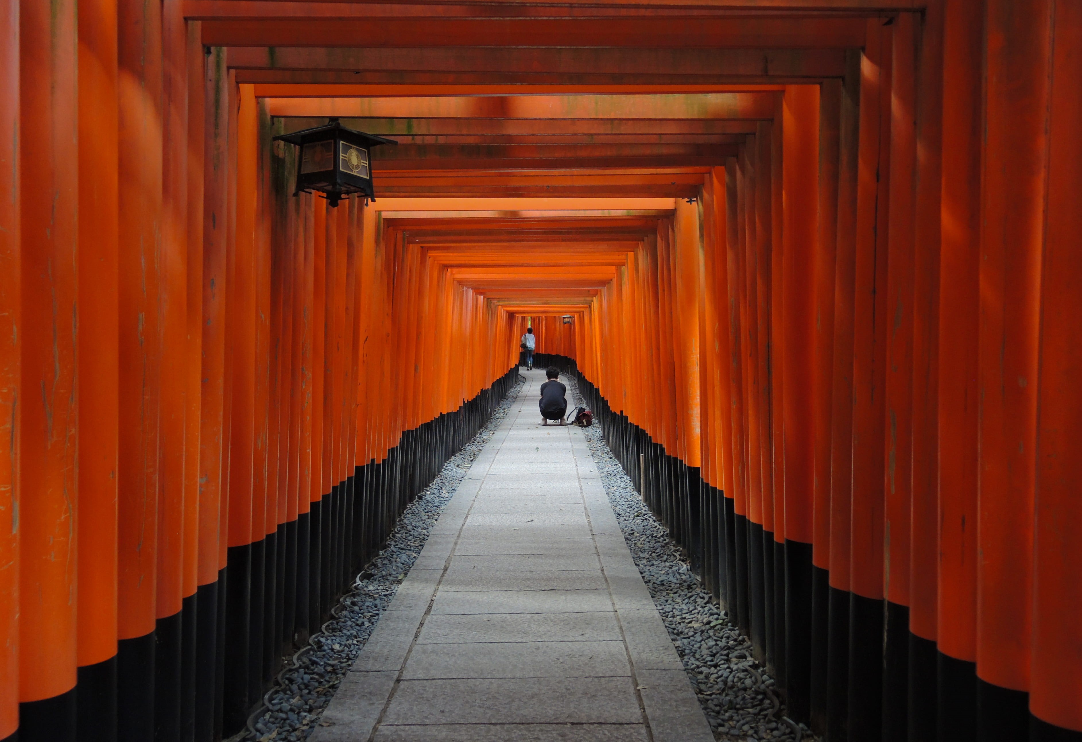 diminishing perspective, fushimi inari, gates, buddhism, place of worship, spirituality, sitting, corridow, gravel, architectural column, photographer, HD Wallpaper