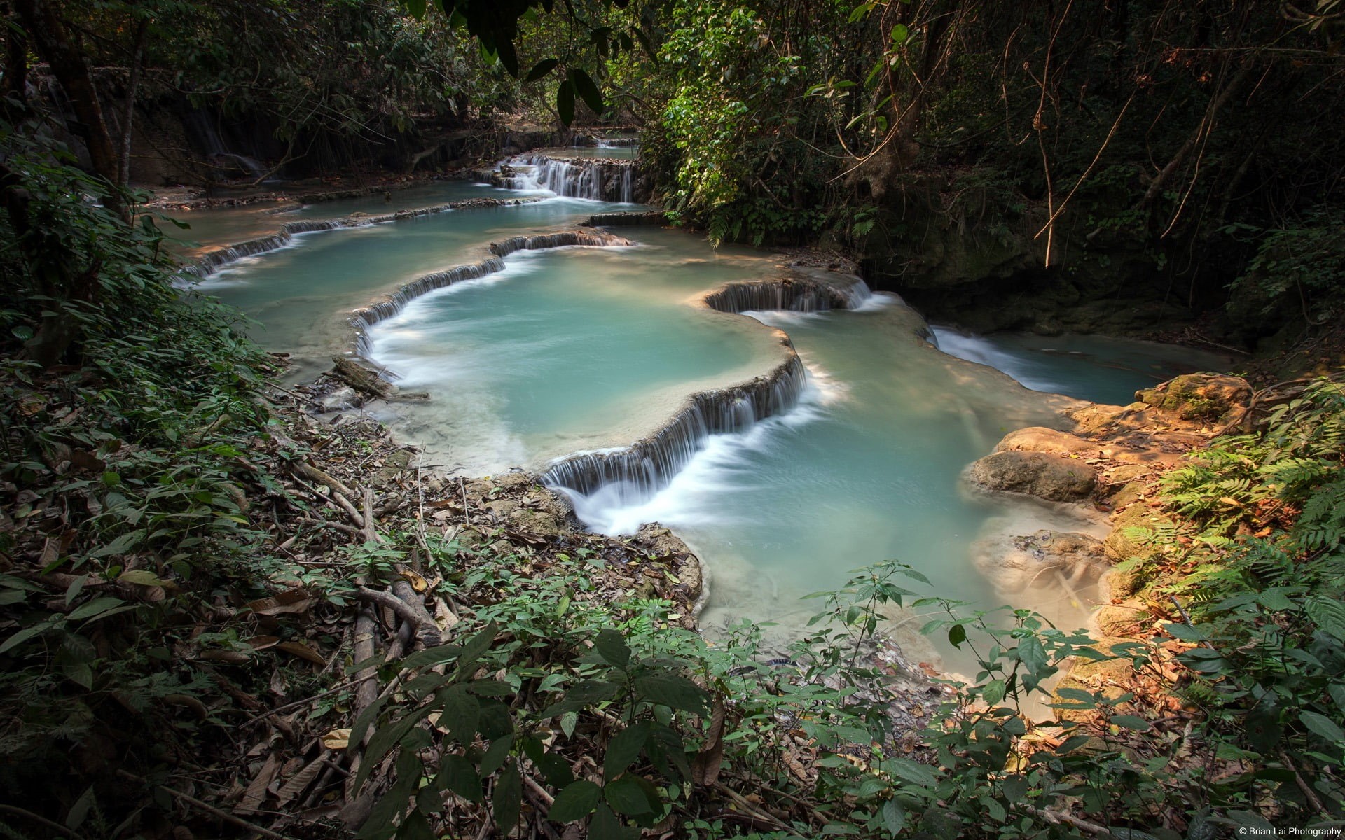nature, rainforest, windows, growth, high angle view, tree, no people, tranquil scene, scenics - nature, river, water, motion, day, plant, flowing water, HD Wallpaper