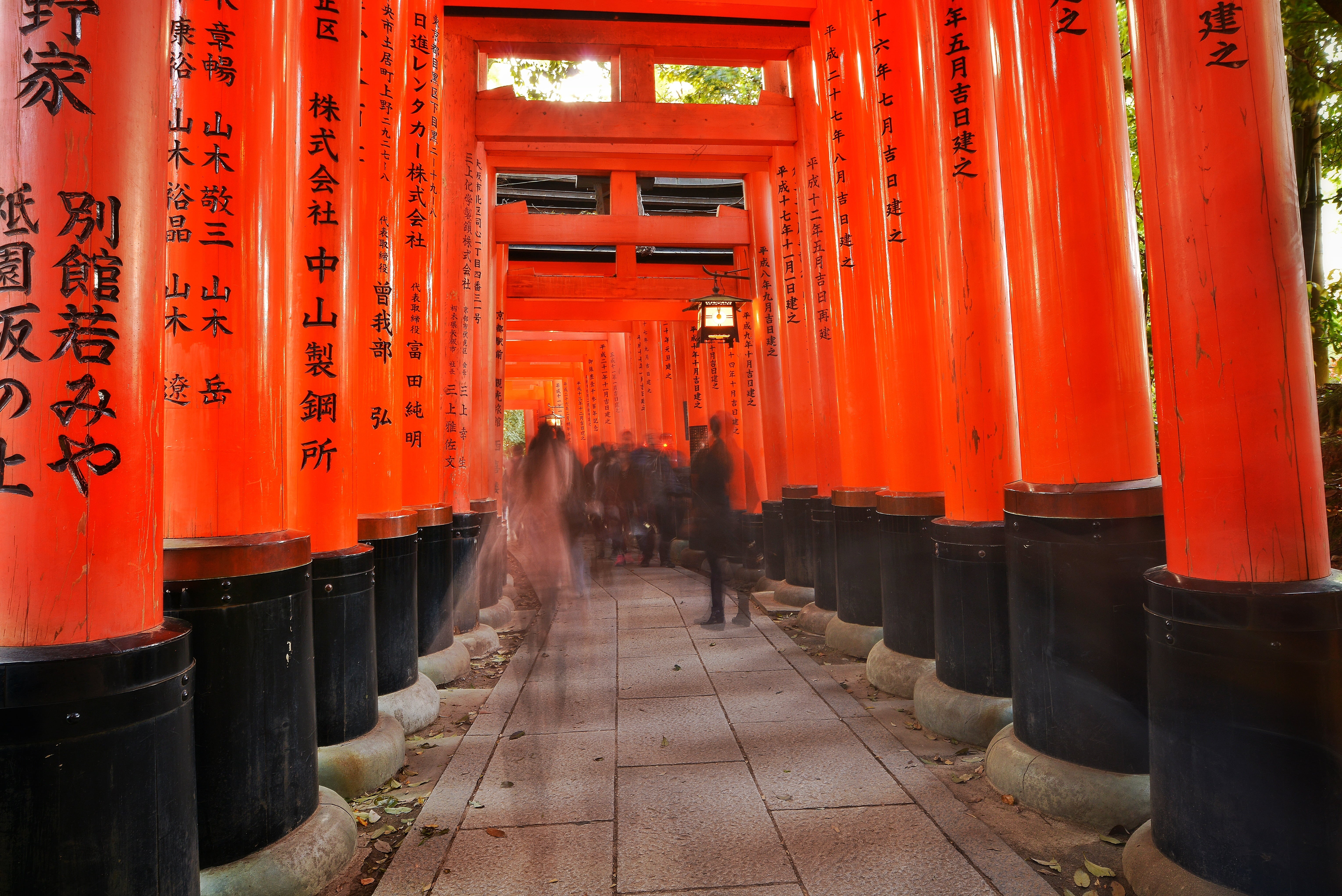 temple, diminishing perspective, the way forward, architectural column, belief, lantern, in a row, architecture, photography, building, religion, culture, HD Wallpaper