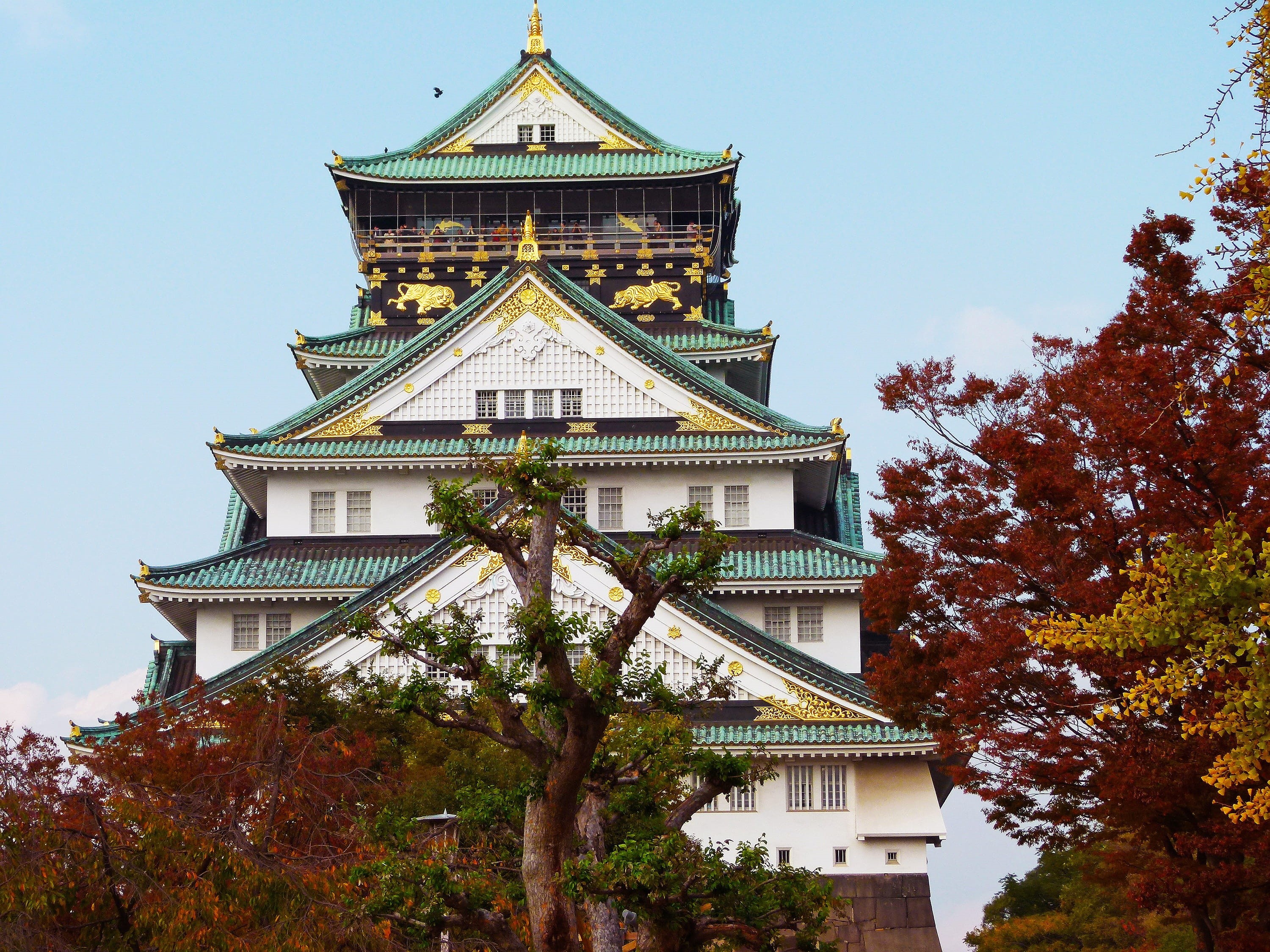 place of worship, pagoda, tourism, belief, city, osaka, attraction, palace, heritage, architecture, asia, religion, kansai, low angle view, tree, beautiful, HD Wallpaper