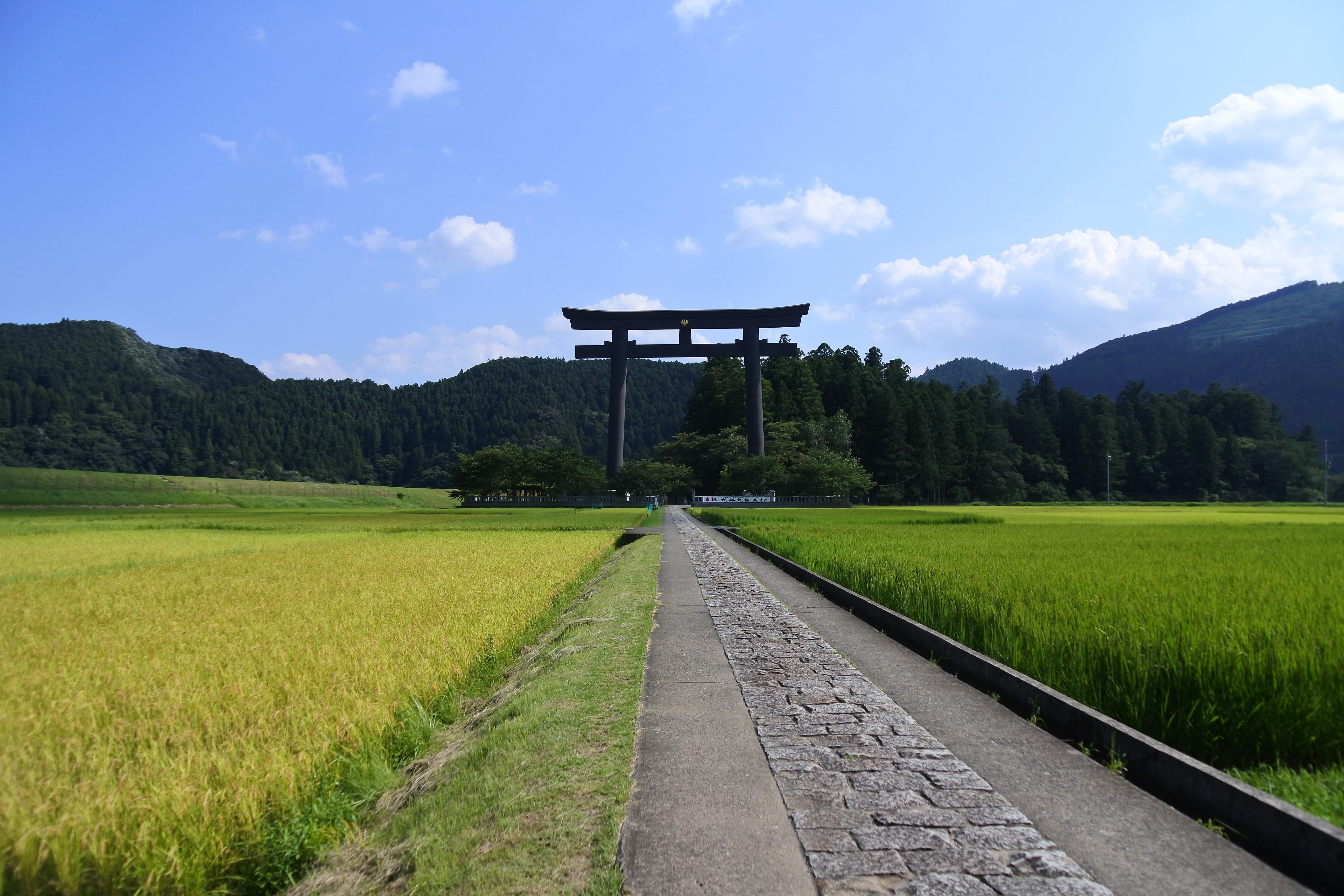 beauty in nature, shrine, wakayama, mysterious, day, yamadas rice fields, torii, views, grass, land, environment, no people, direction, vanishing point, HD Wallpaper