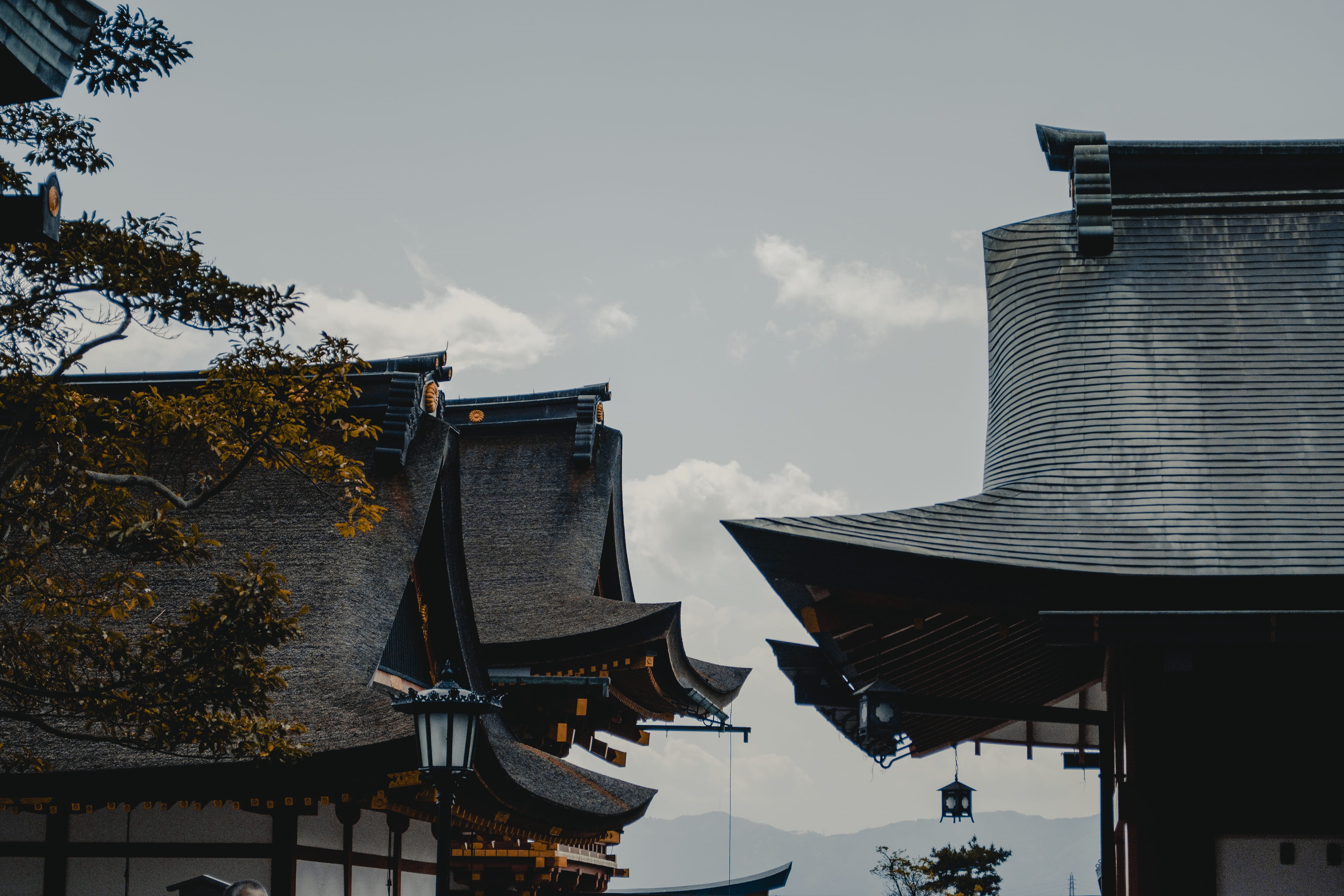 belief, oriental, worship, steeple, roof, cloud - sky, place of worship, spirituality, tree, sky, architecture, japan, buildings, skyscraper, gold, city, HD Wallpaper