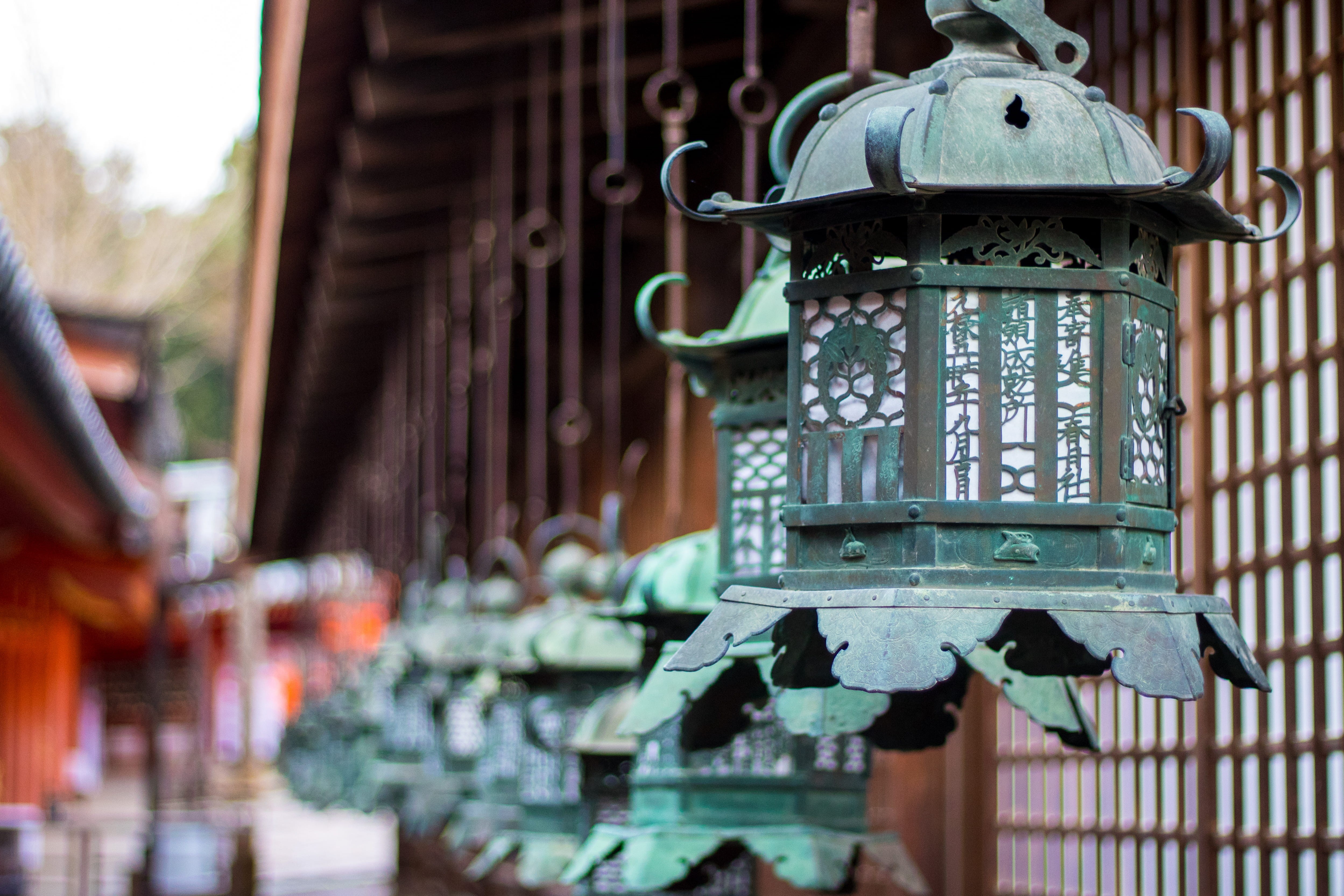 lantern, hanging, pattern, japan, group, architecture, shrine, kasuga-taisha, nara-shi, electric lamp, close-up, old, built structure, selective focus, HD Wallpaper