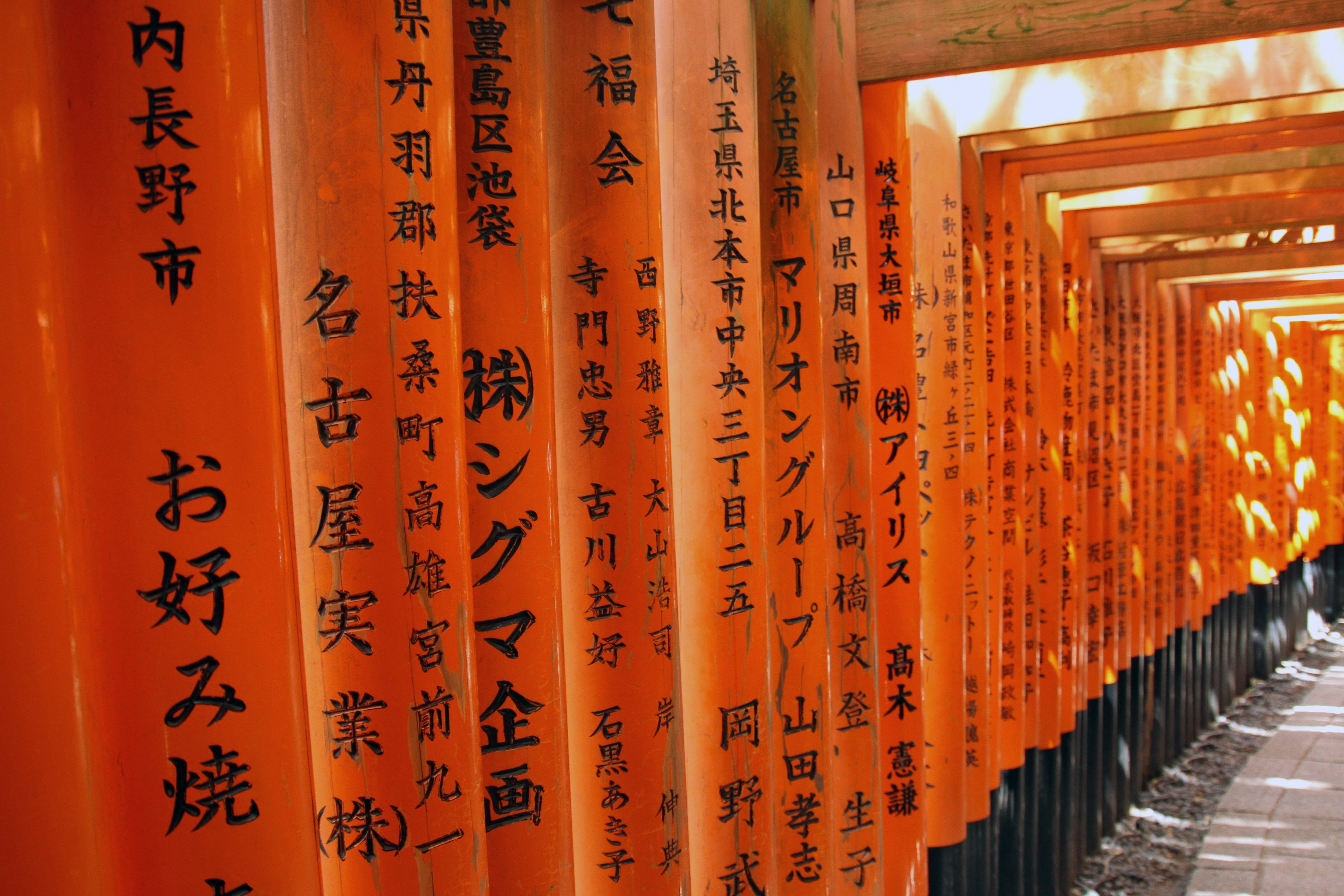 fushimi inari taisha, repetition, shrine, orange color, communication, text, place of worship, sightseeing, in a row, no people, architecture, japan, script, HD Wallpaper